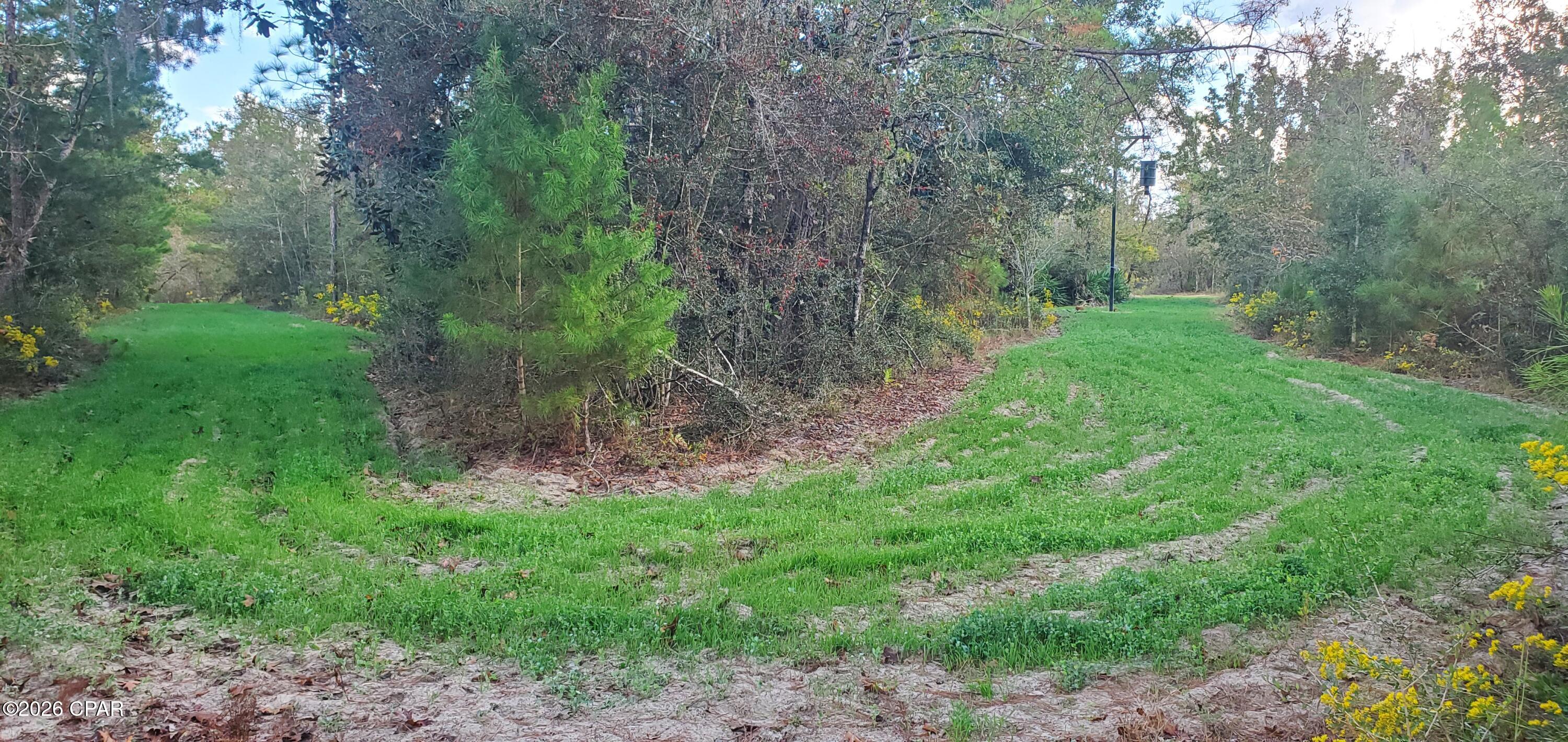 19 2n 12w -6 Fountain FL 32438