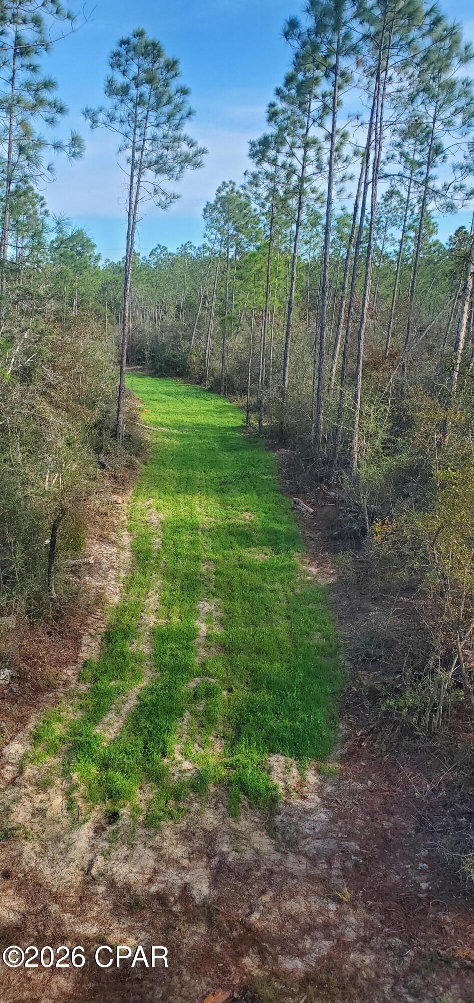 19 2n 12w -6 Fountain FL 32438