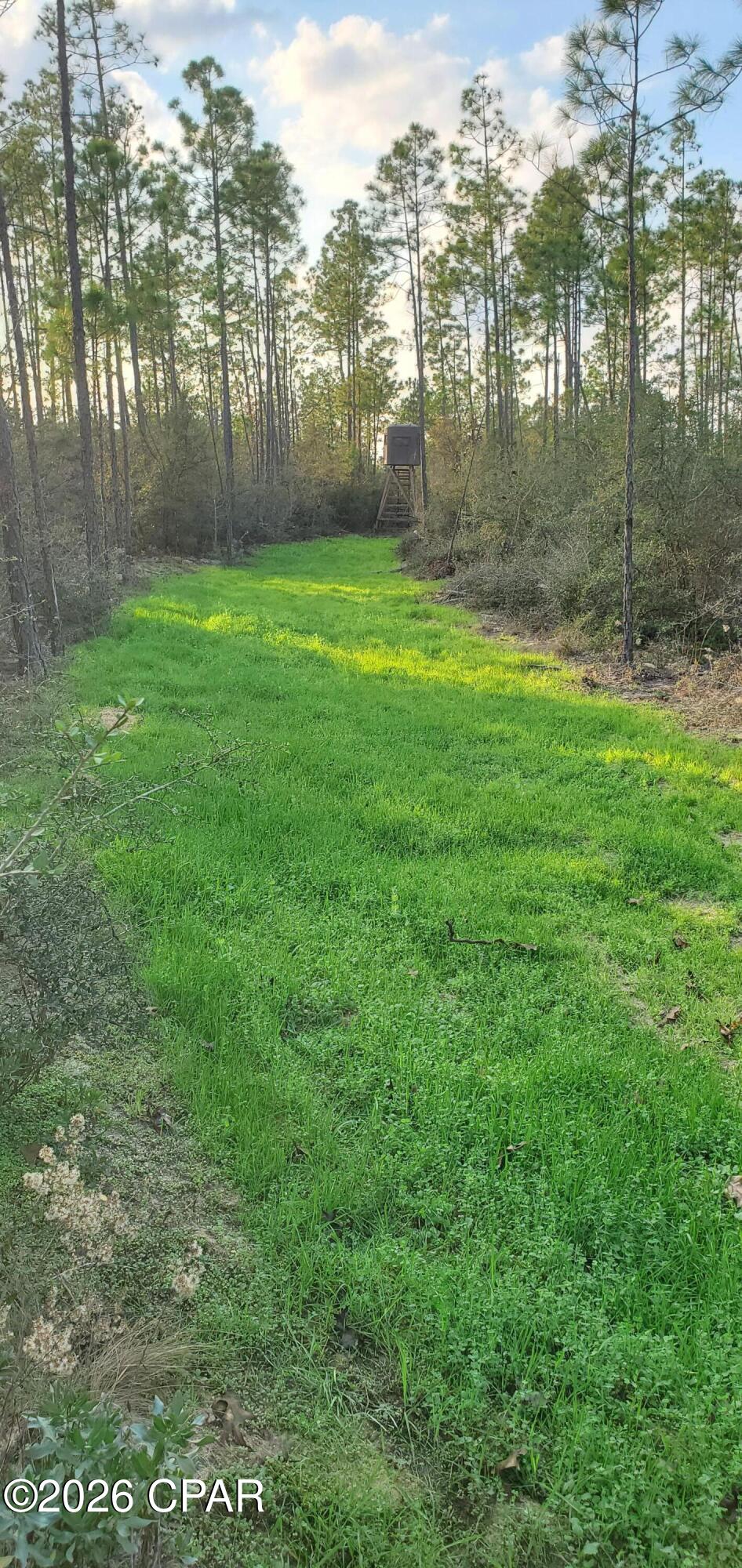 19 2n 12w -6 Fountain FL 32438