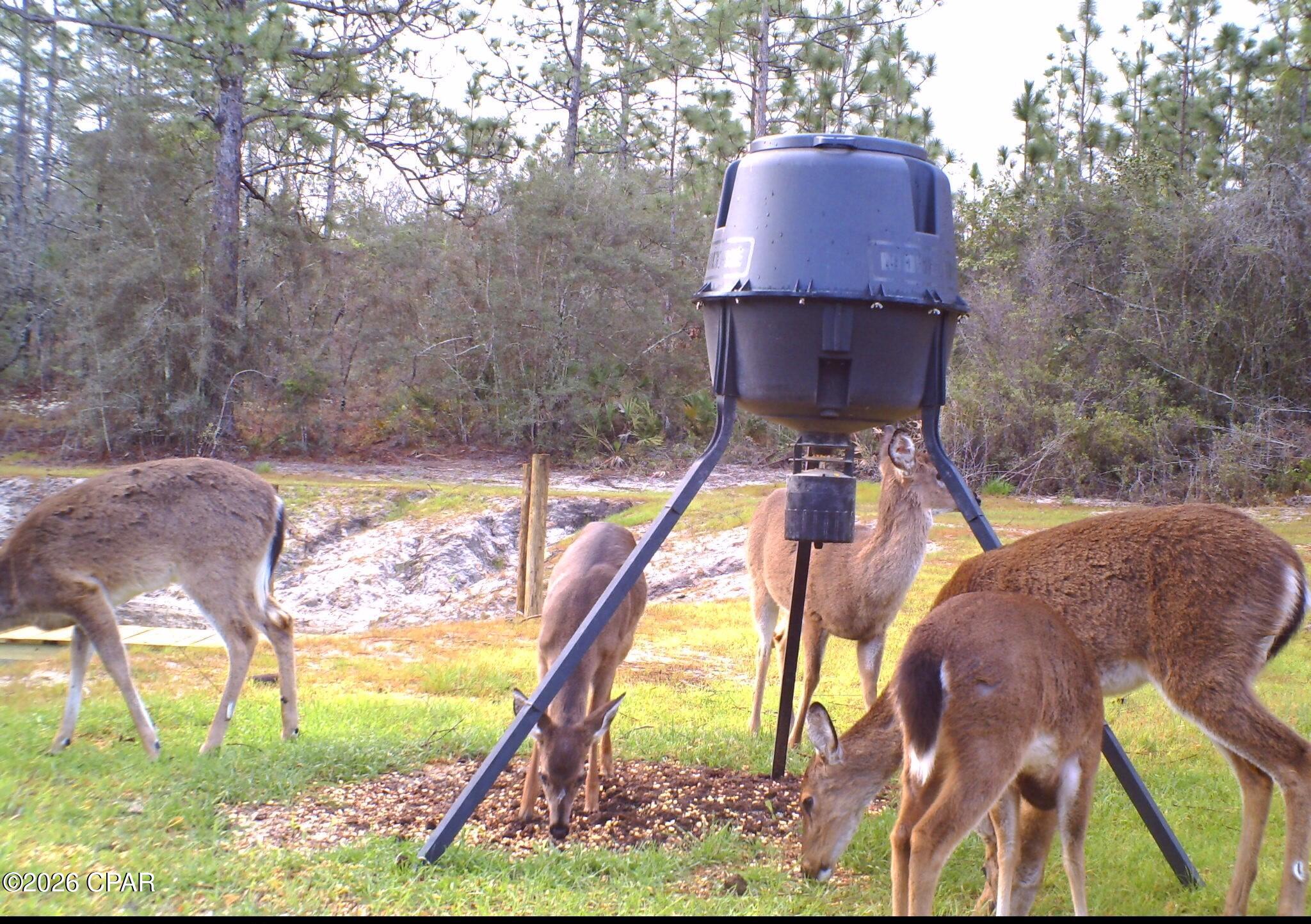 19 2n 12w -6 Fountain FL 32438