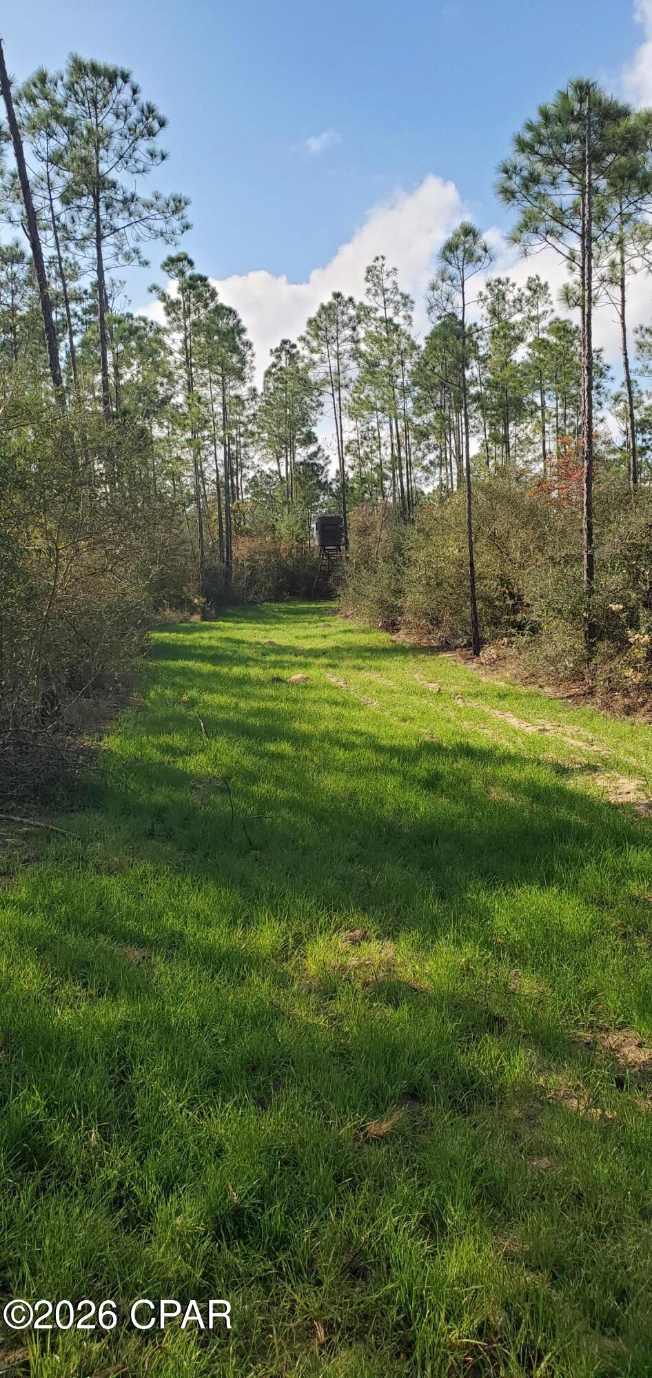 19 2n 12w -6 Fountain FL 32438