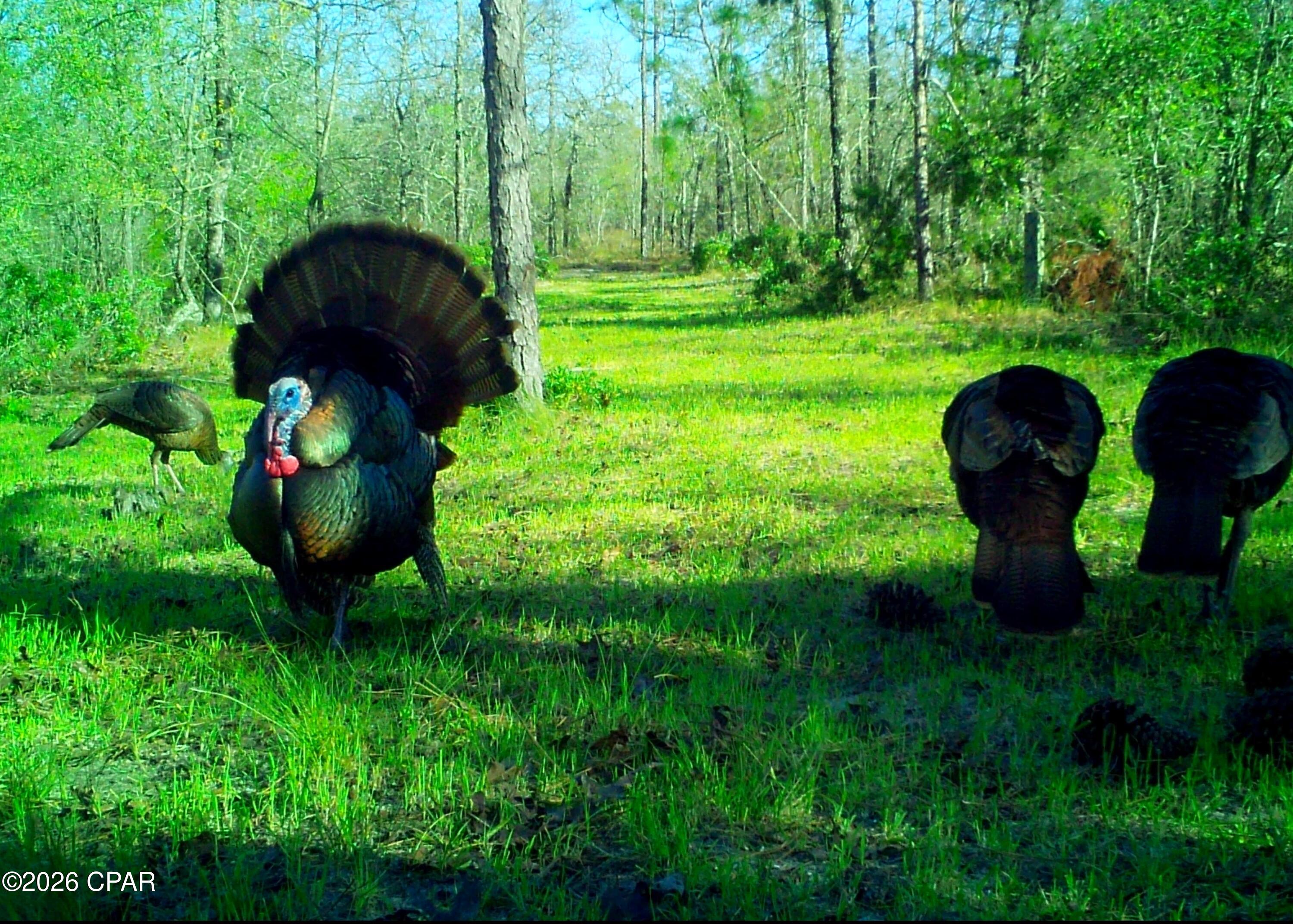 19 2n 12w -6 Fountain FL 32438