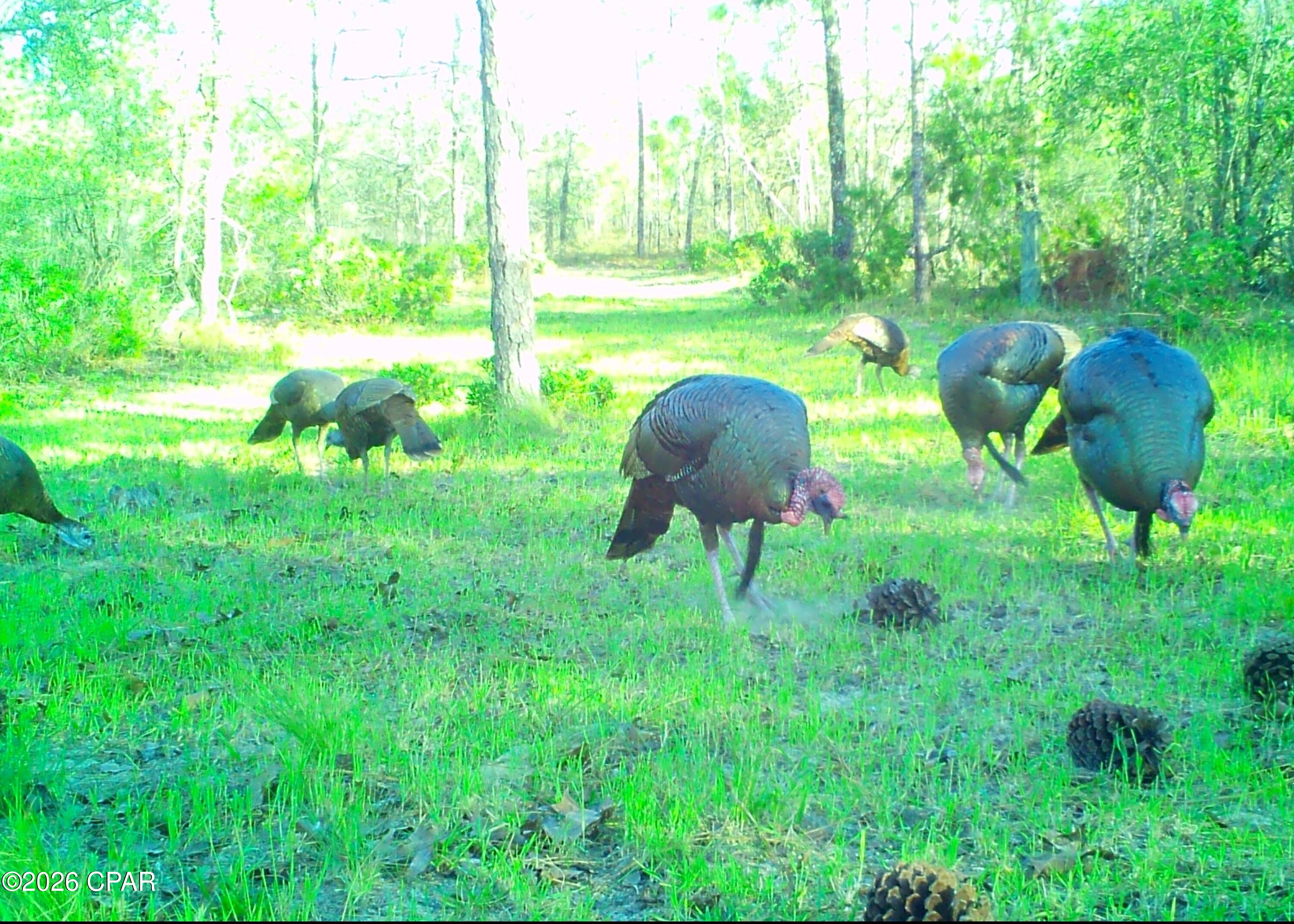 19 2n 12w -6 Fountain FL 32438