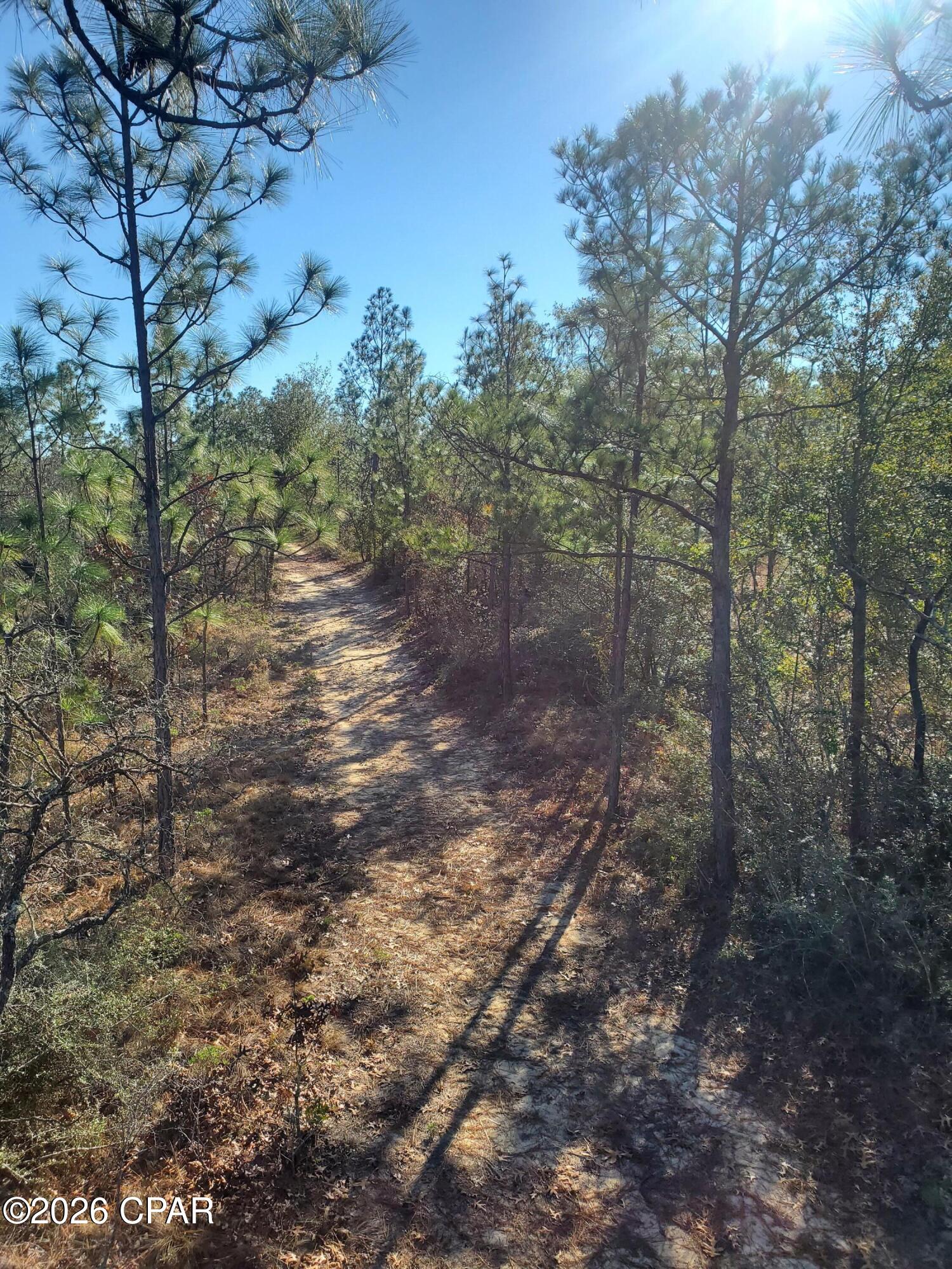 19 2n 12w -6 Fountain FL 32438