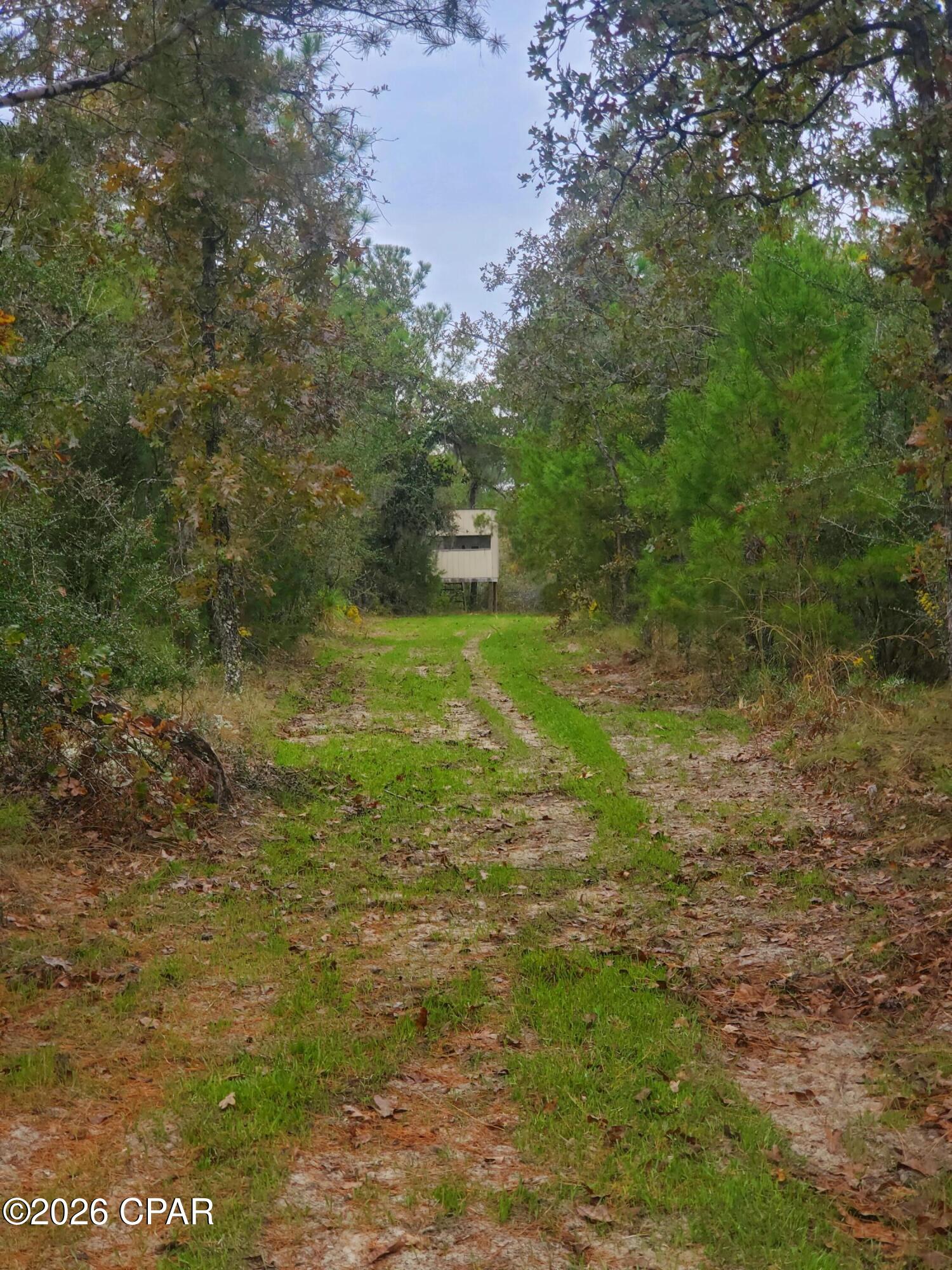 19 2n 12w -6 Fountain FL 32438