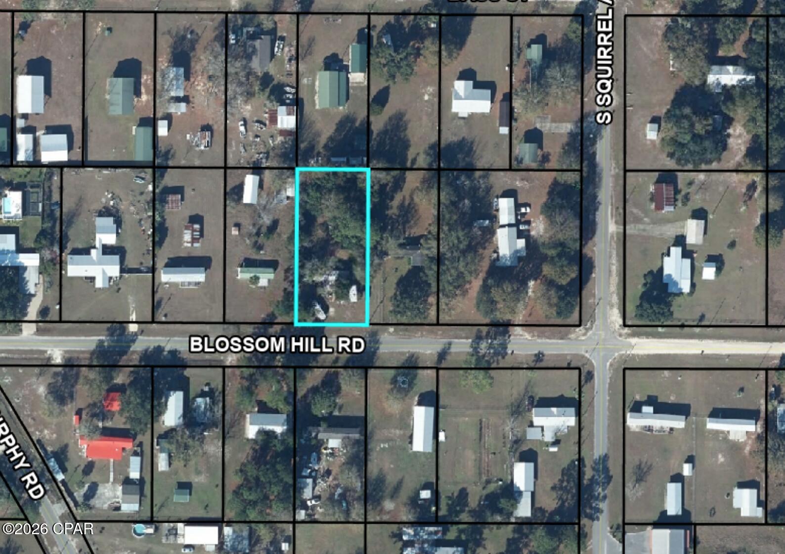 6965 Blossom Hill Road Wewahitchka FL 32465