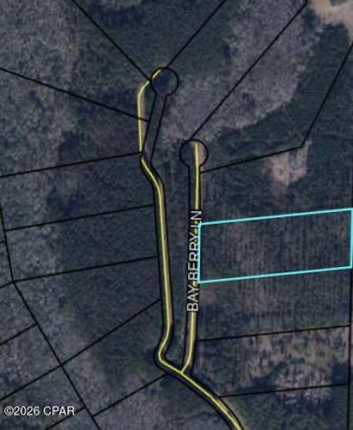 TBD Bay Berry Lane Westville FL 32464