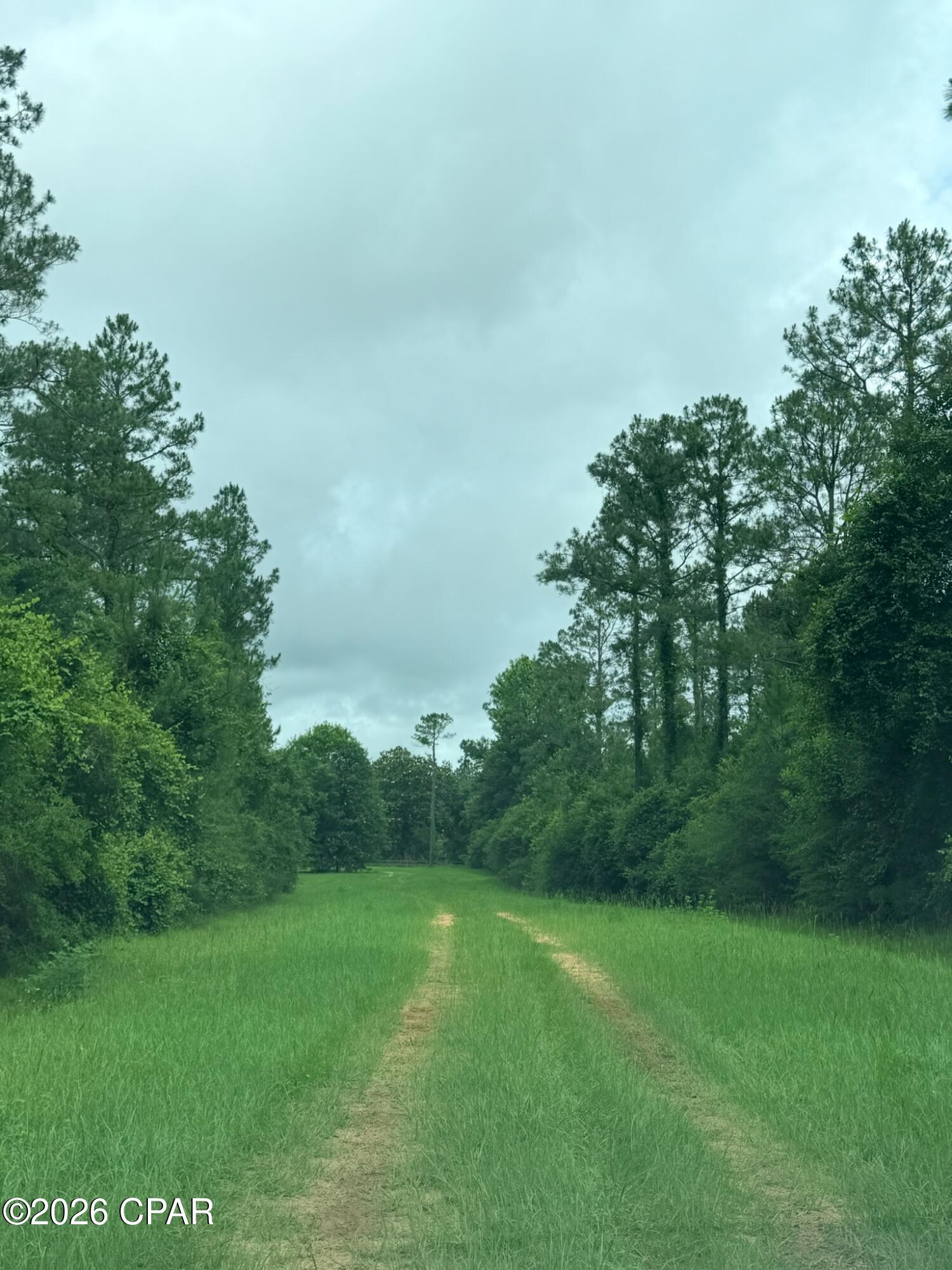 Tbd Sumac Road Westville FL 32464