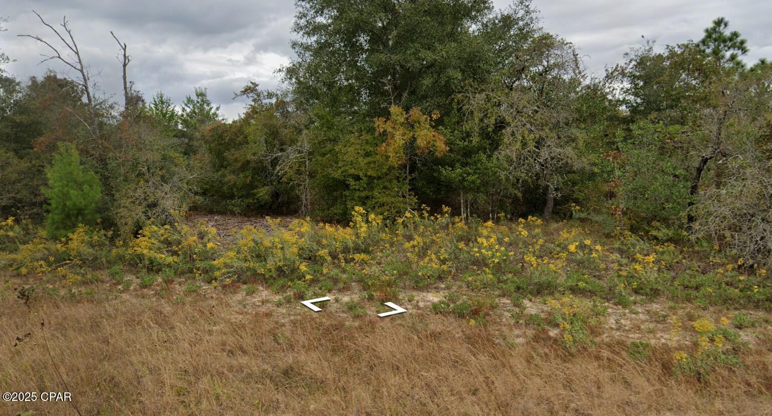 Lot 10 Pennington Drive Chipley FL 32428
