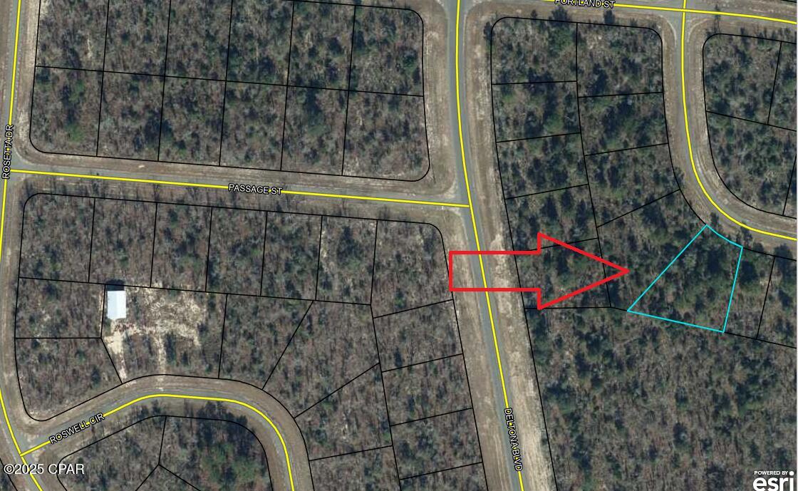 Lot 10 Pennington Drive Chipley FL 32428