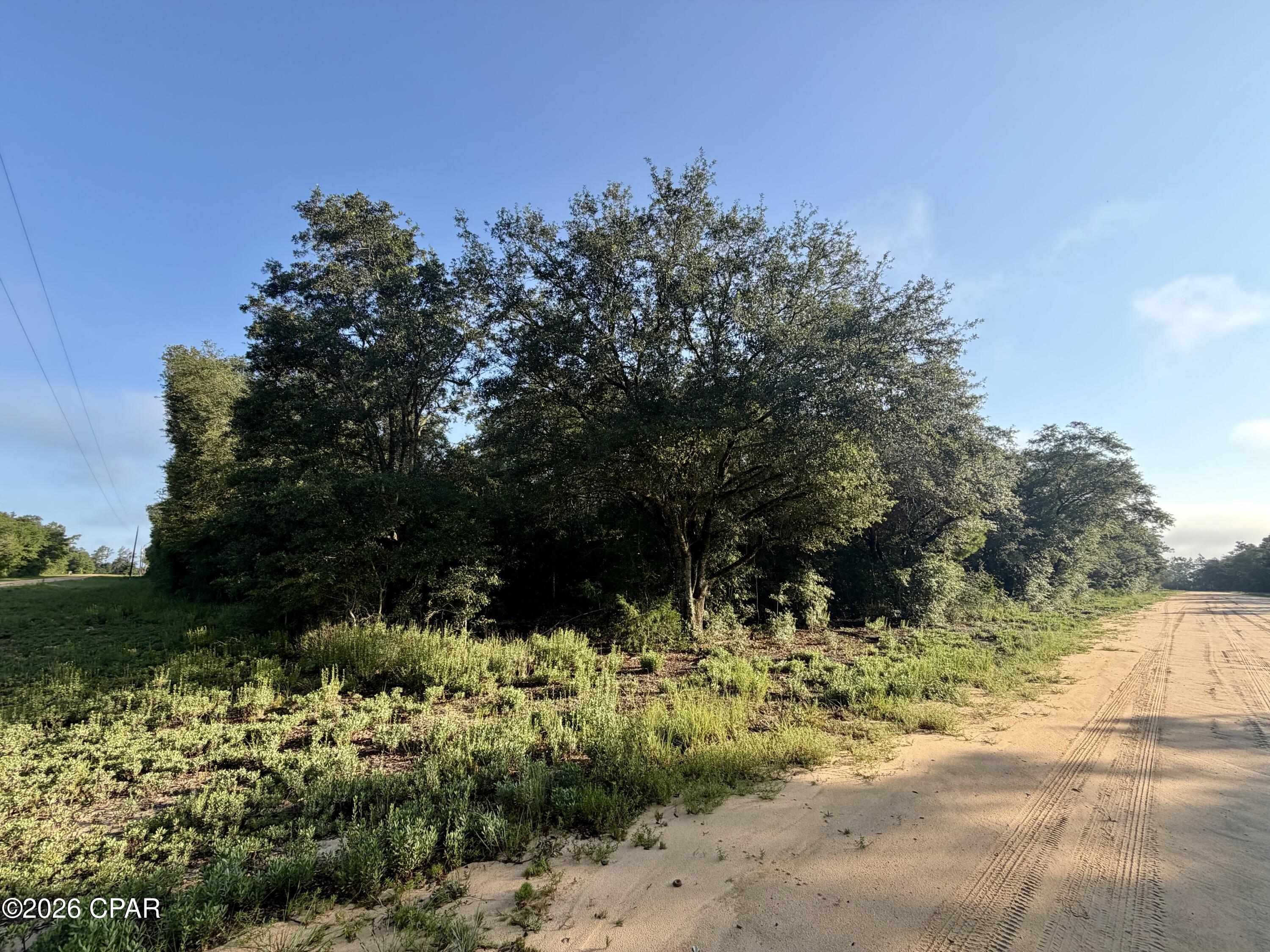 Lot 16 Osceola Drive Marianna FL 32448