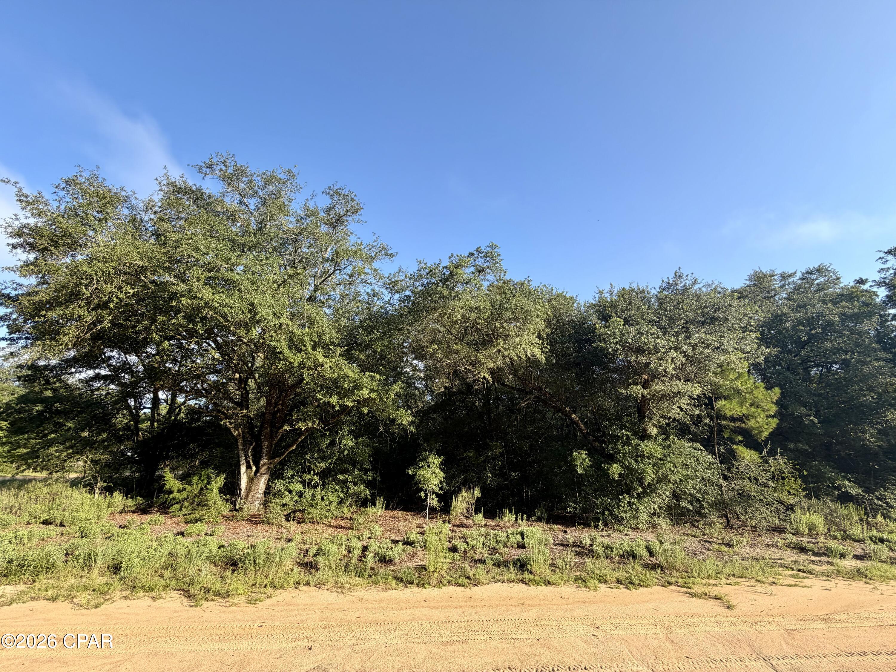 Lot 16 Osceola Drive Marianna FL 32448