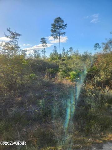 00 NW Hwy 167 County Road 167 Fountain FL 32438