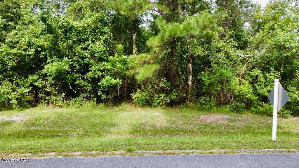 113 Little River Circle Wewahitchka FL 32465