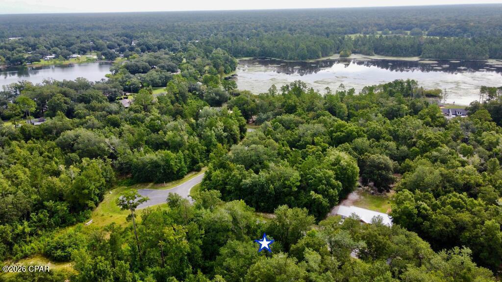 113 Little River Circle Wewahitchka FL 32465