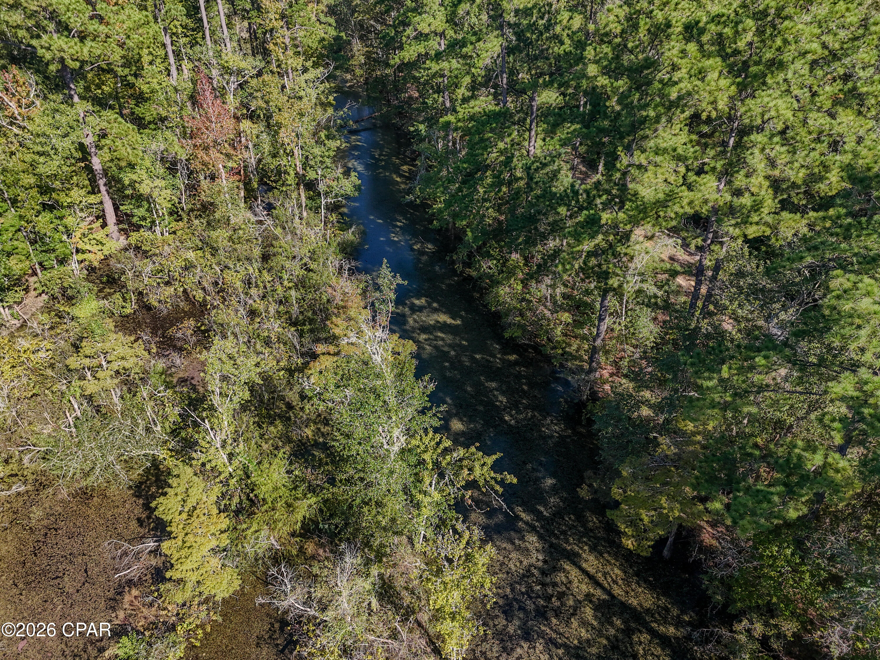 238 Riverside Circle Wewahitchka FL 32465