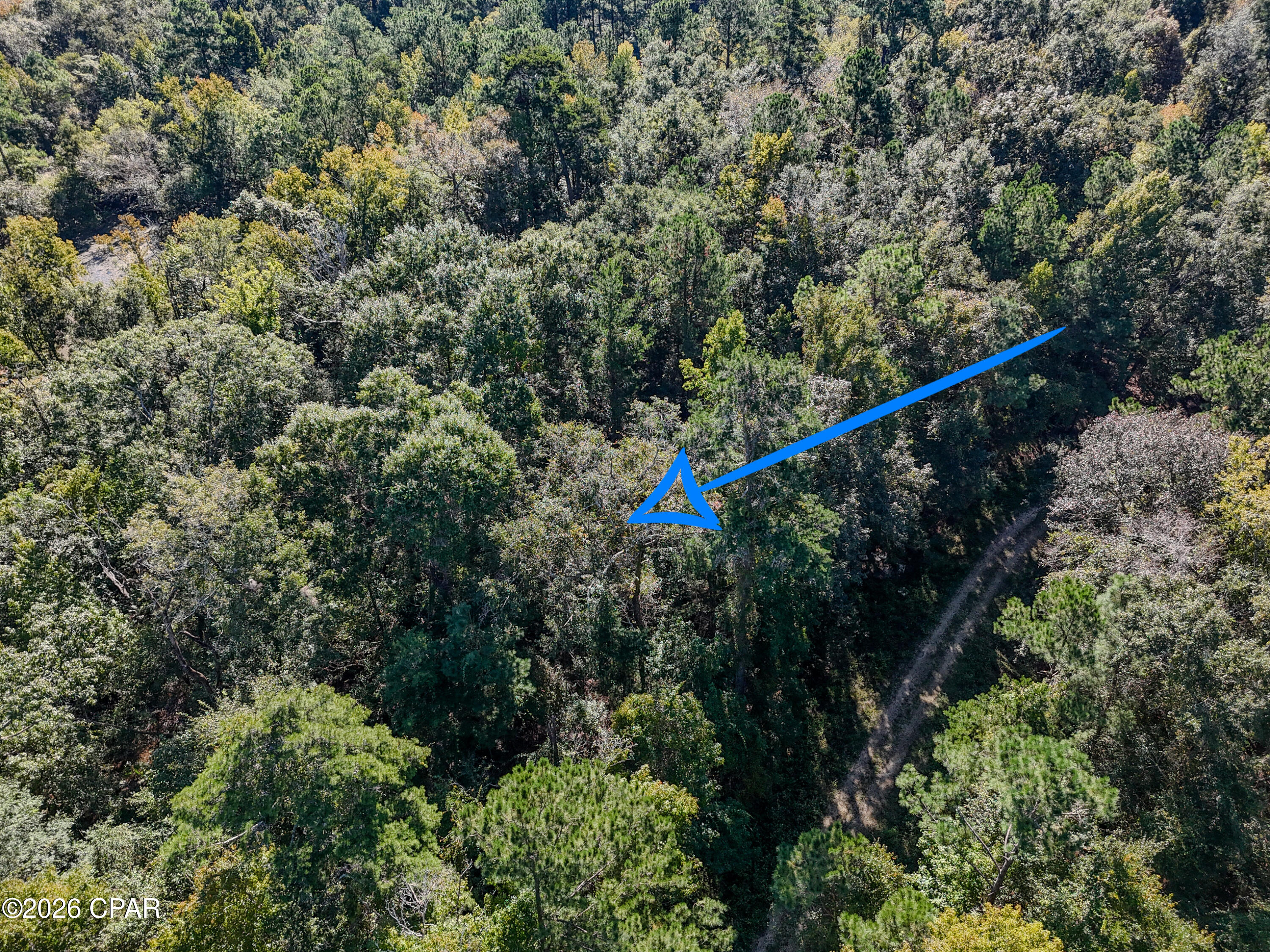 238 Riverside Circle Wewahitchka FL 32465