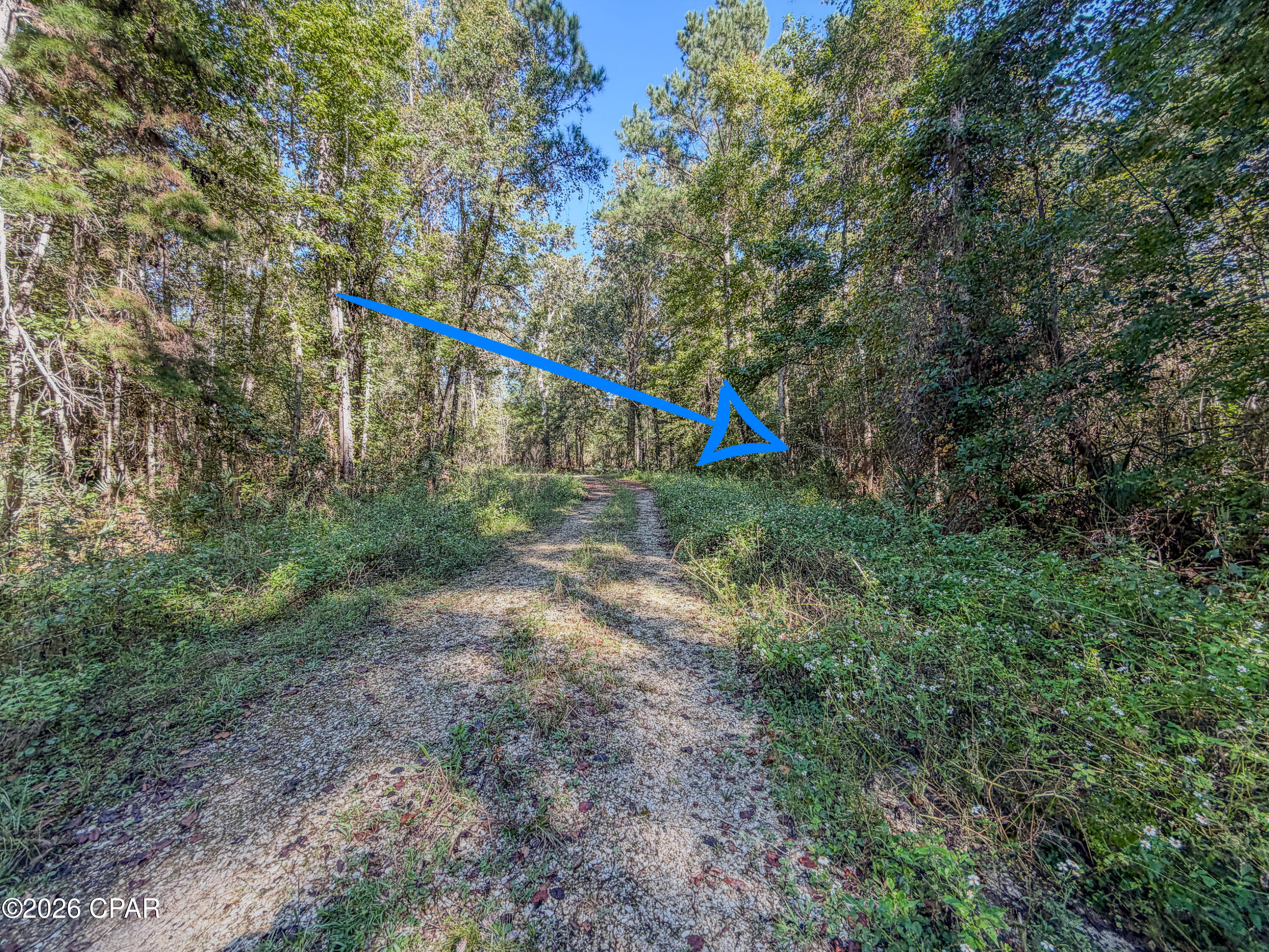 238 Riverside Circle Wewahitchka FL 32465