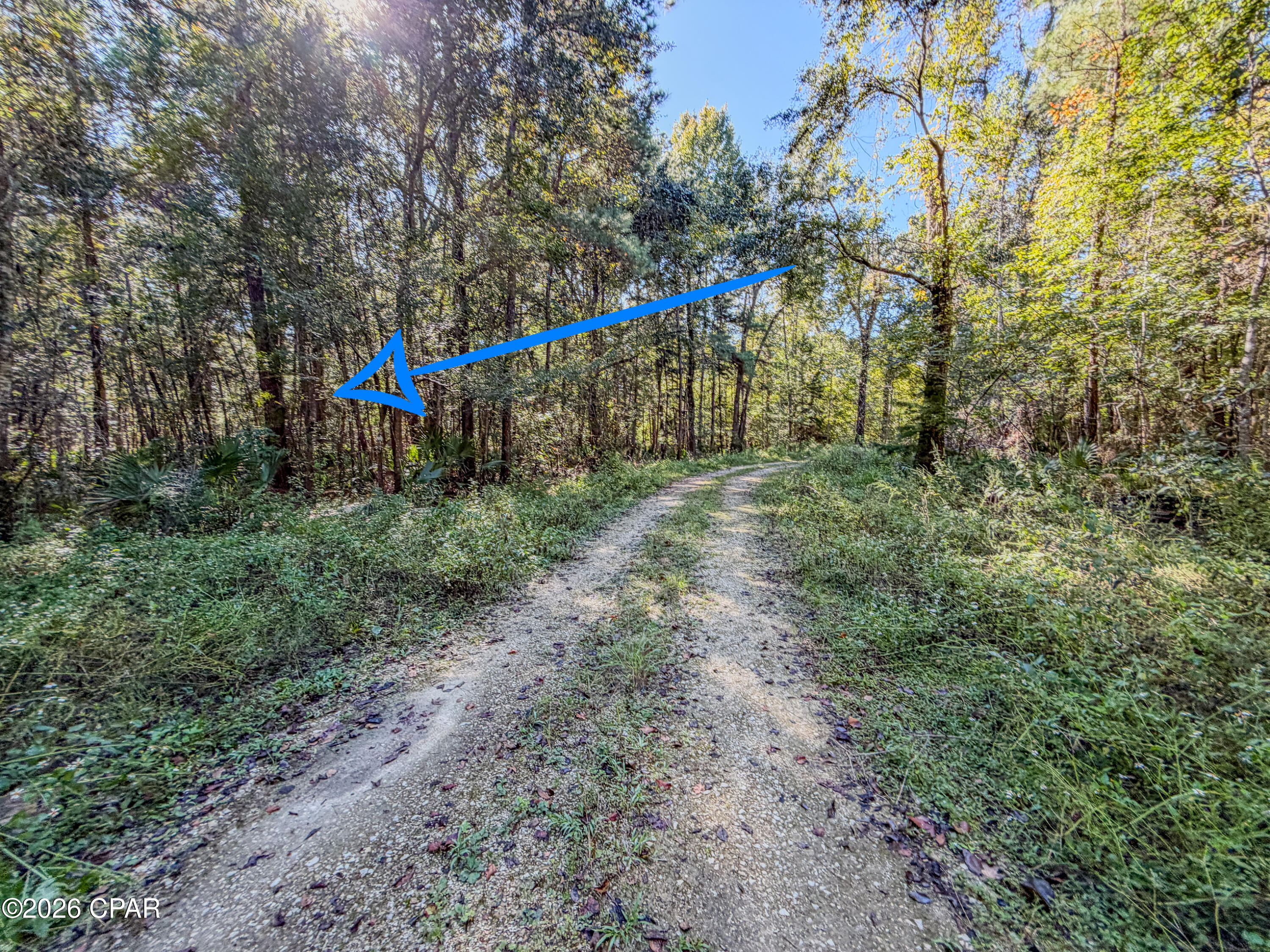 238 Riverside Circle Wewahitchka FL 32465