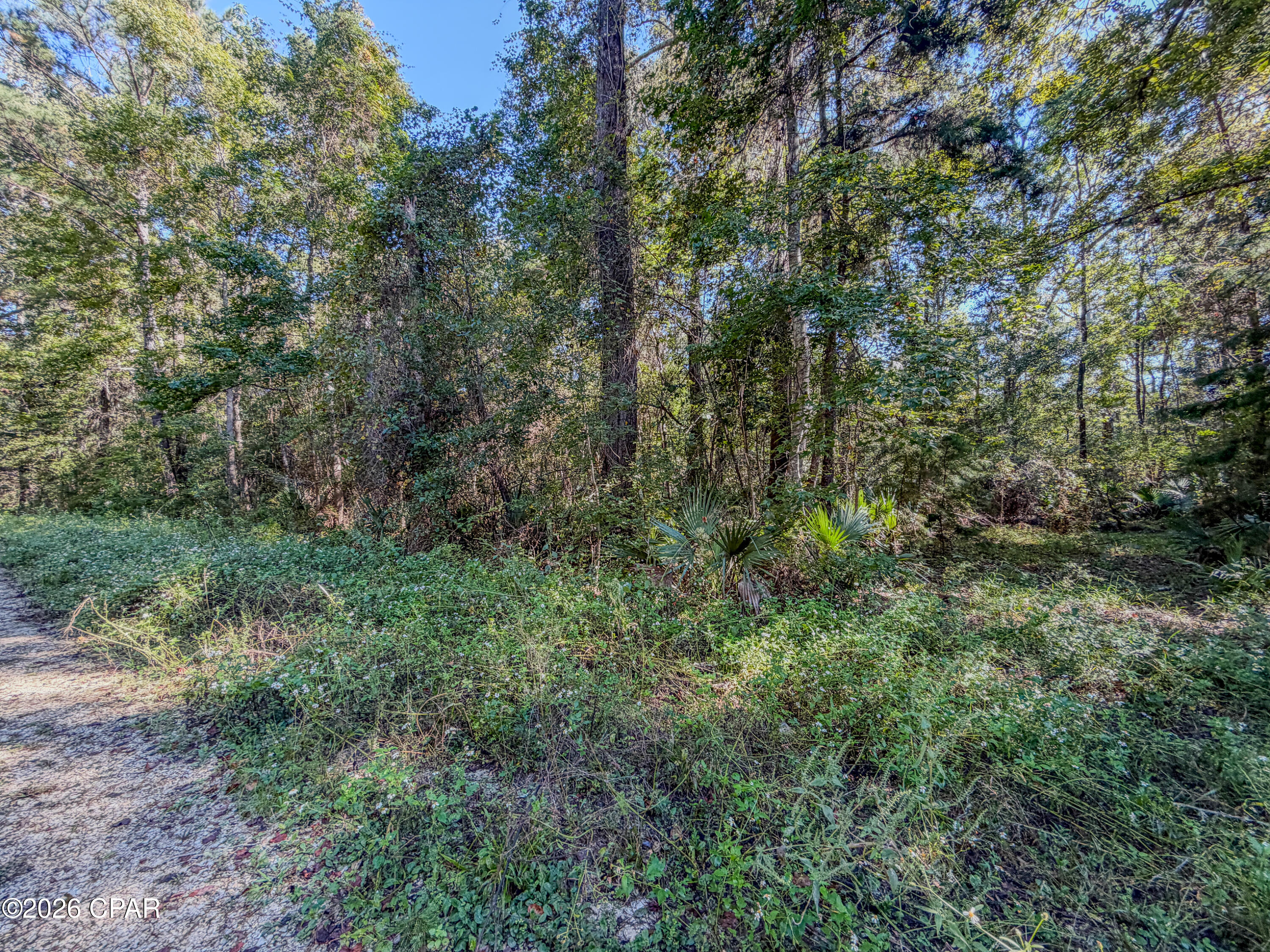 238 Riverside Circle Wewahitchka FL 32465