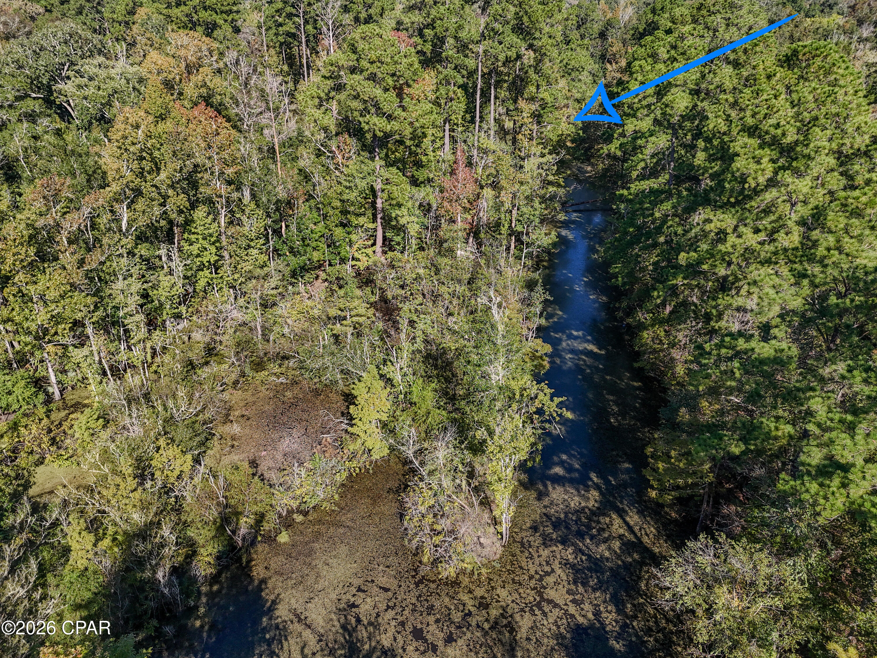 238 Riverside Circle Wewahitchka FL 32465