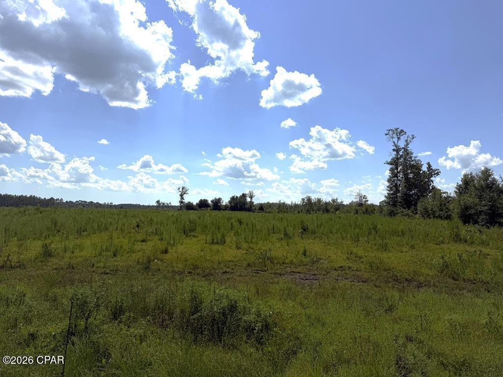 Lot 2 Hwy 71 S Wewahitchka FL 32449