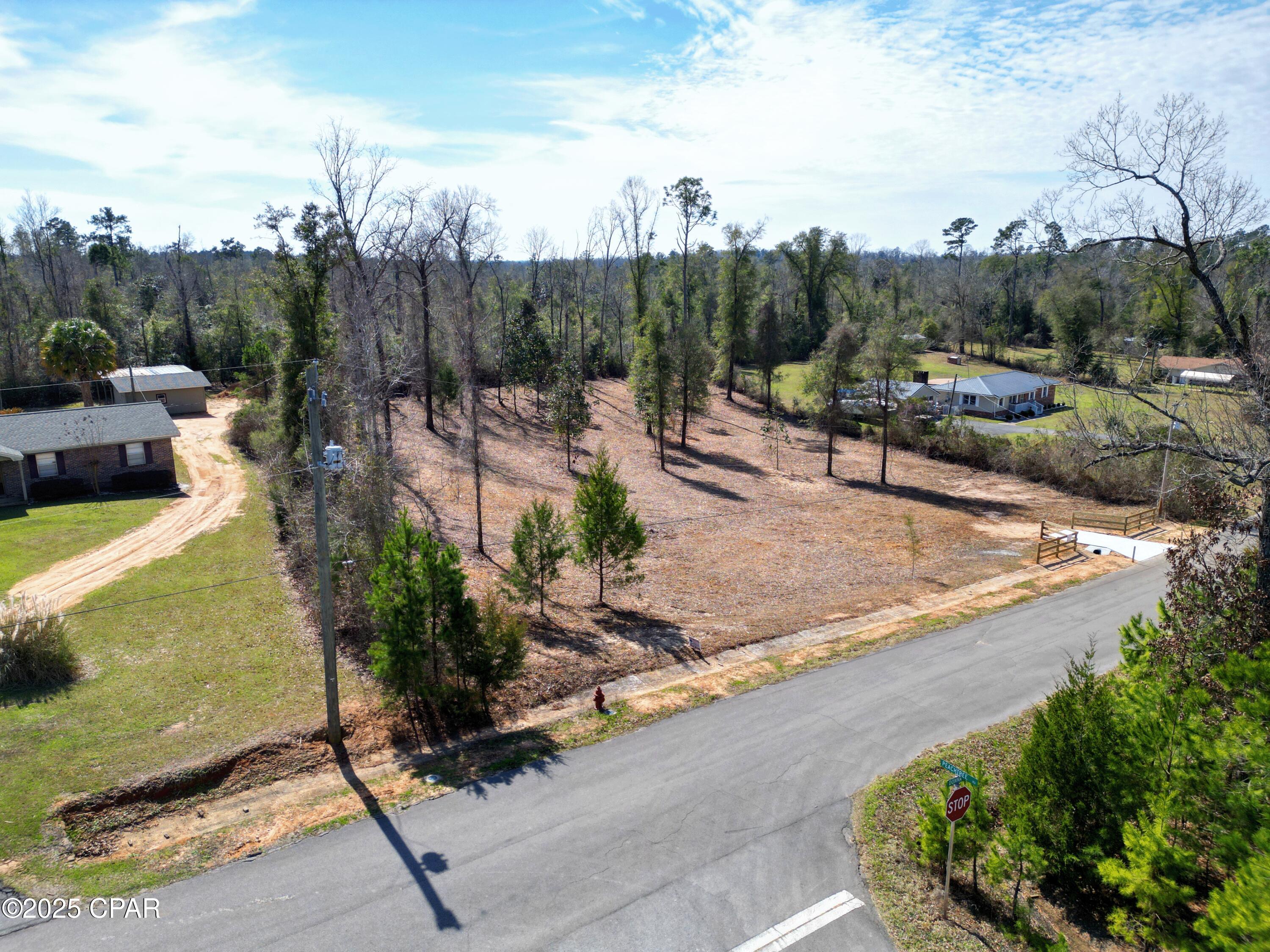 0 Donna Drive Marianna FL 32446