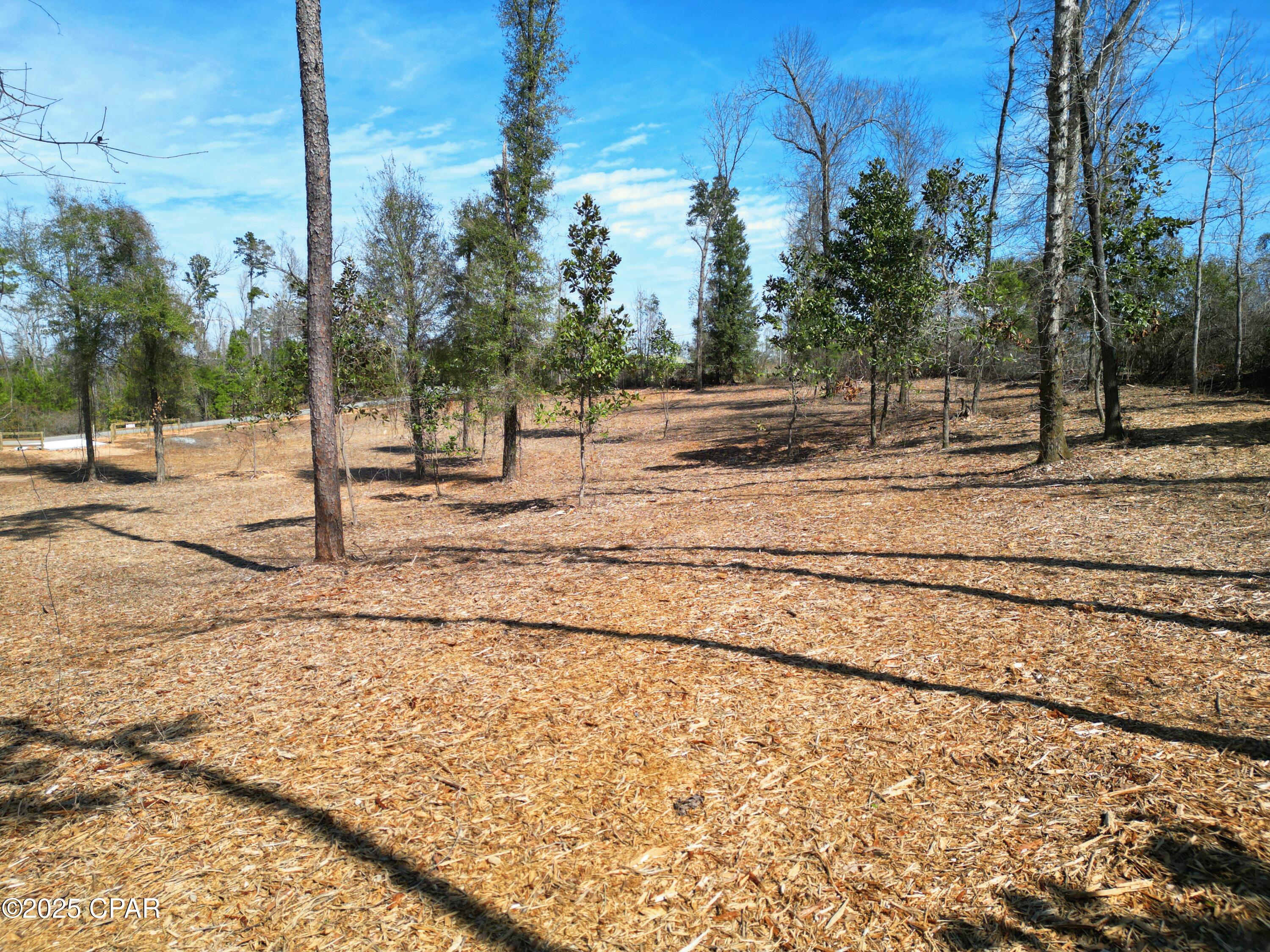 0 Donna Drive Marianna FL 32446