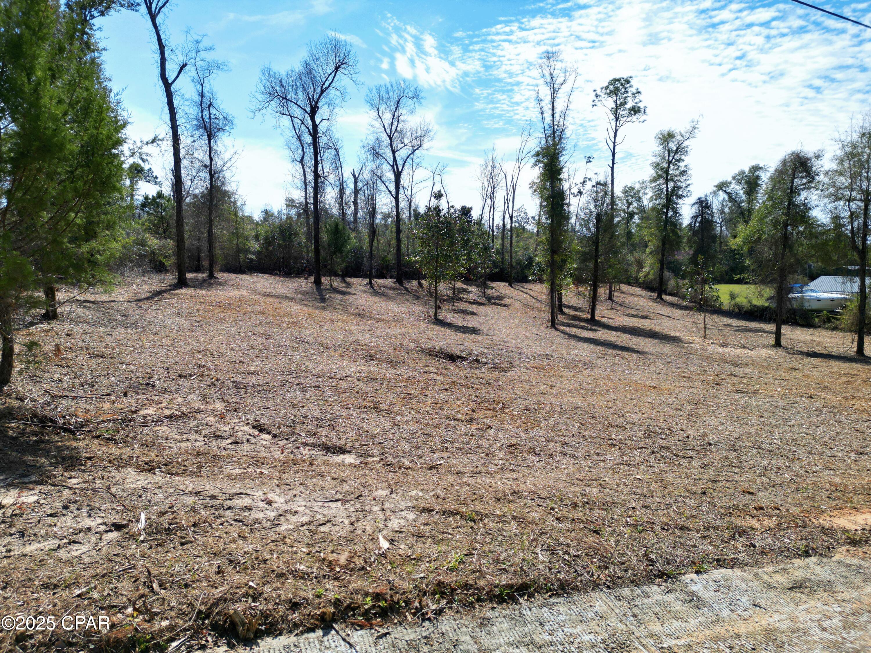 0 Donna Drive Marianna FL 32446
