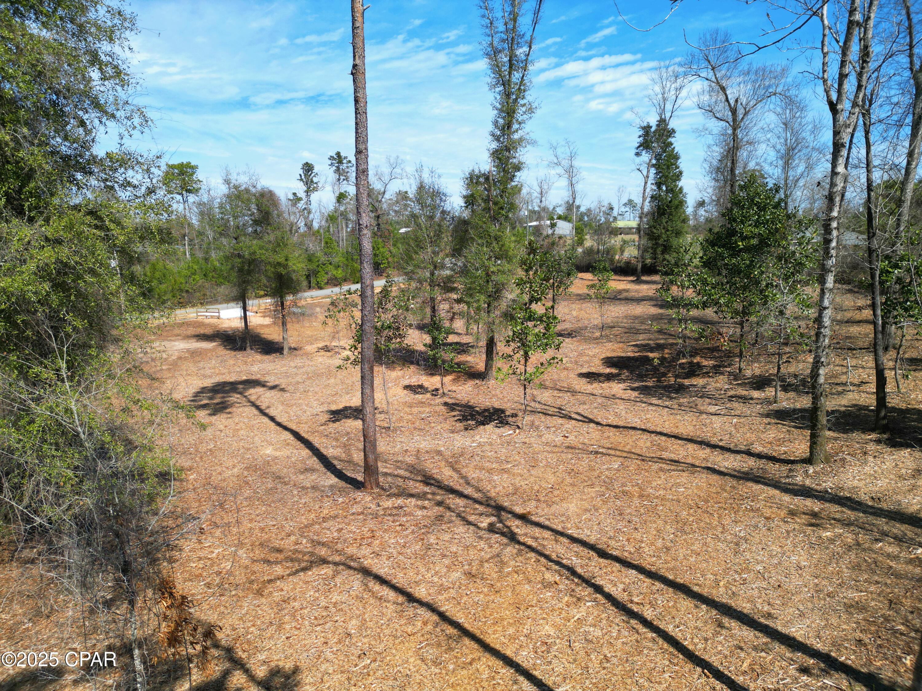 0 Donna Drive Marianna FL 32446