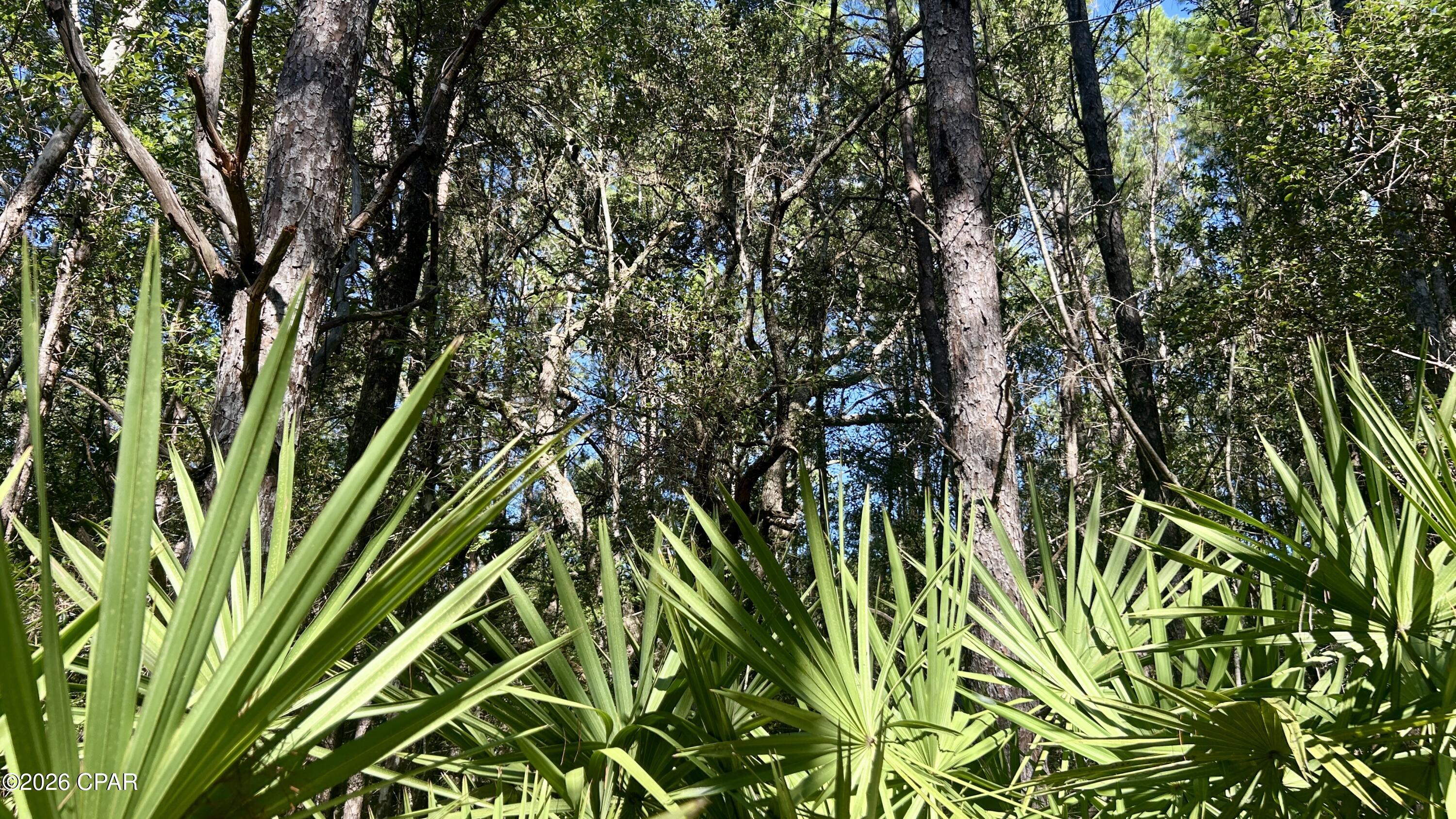 B Trawick Creek Road Holt FL 32564