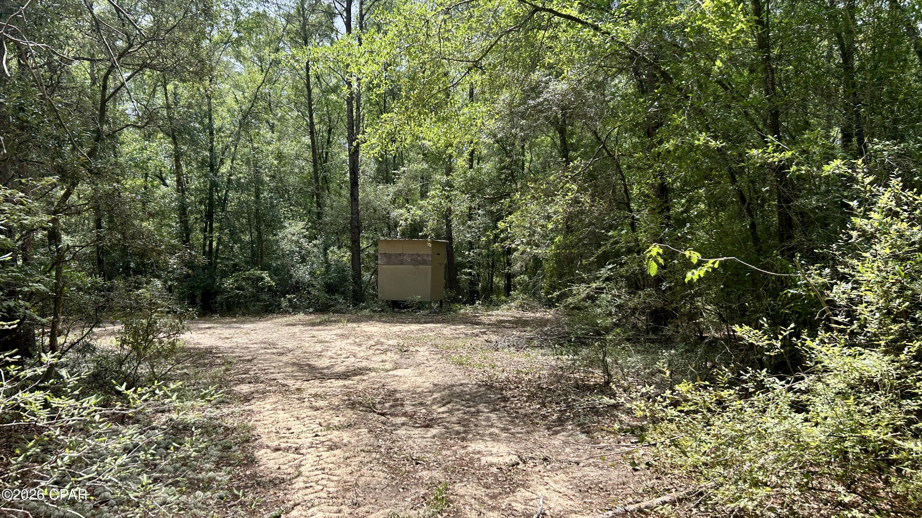 B Trawick Creek Road Holt FL 32564