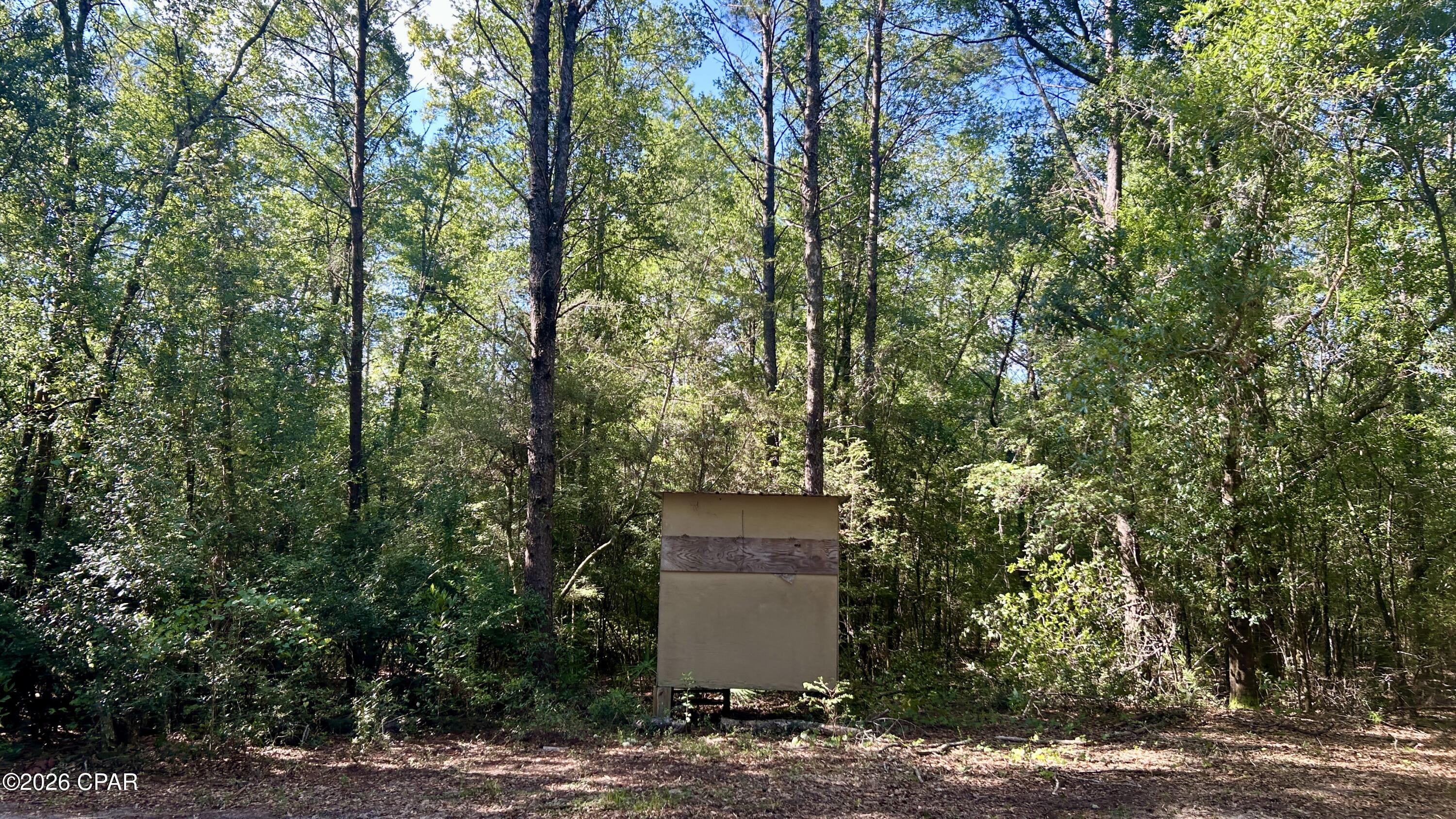 B Trawick Creek Road Holt FL 32564