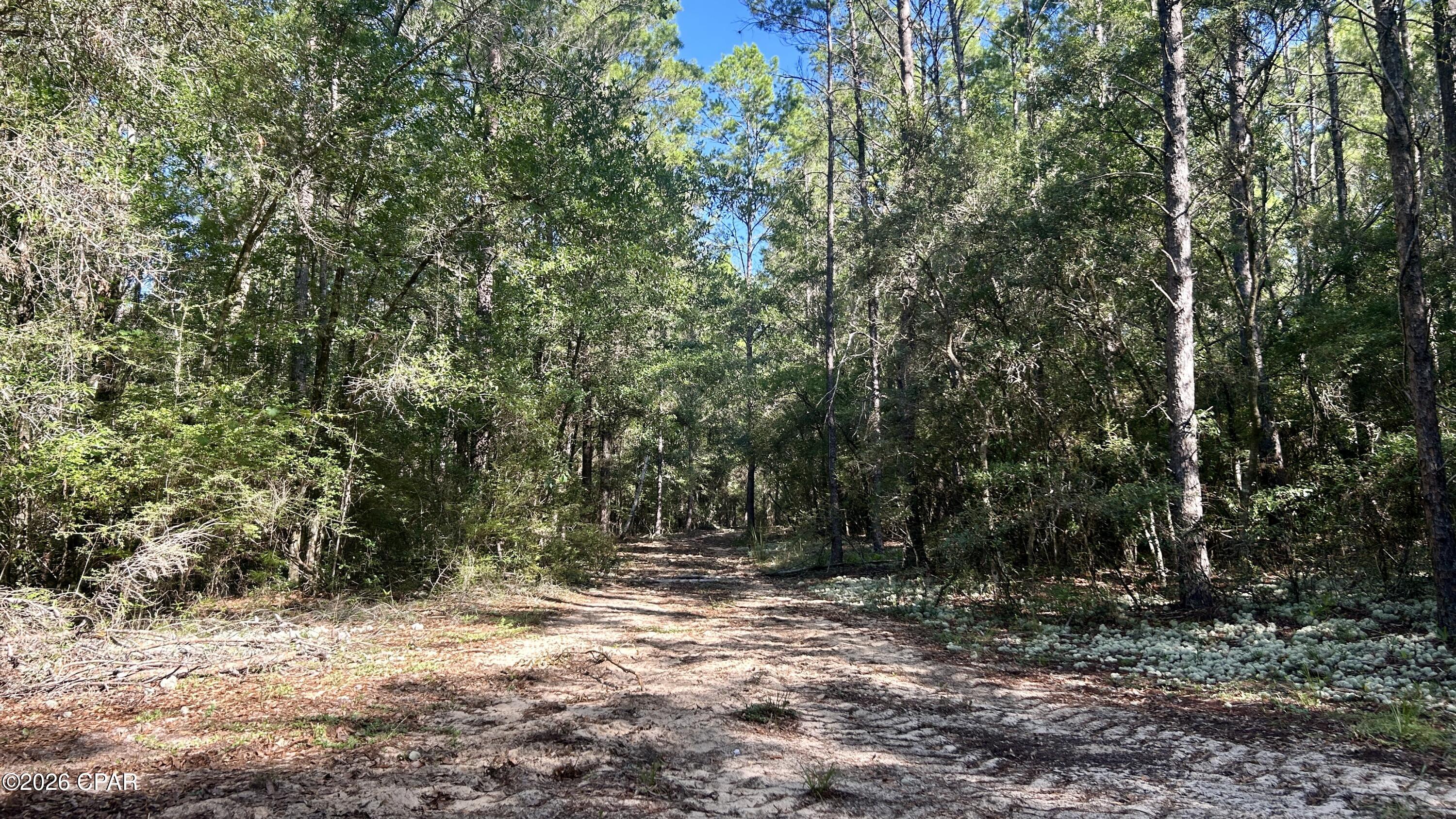 B Trawick Creek Road Holt FL 32564