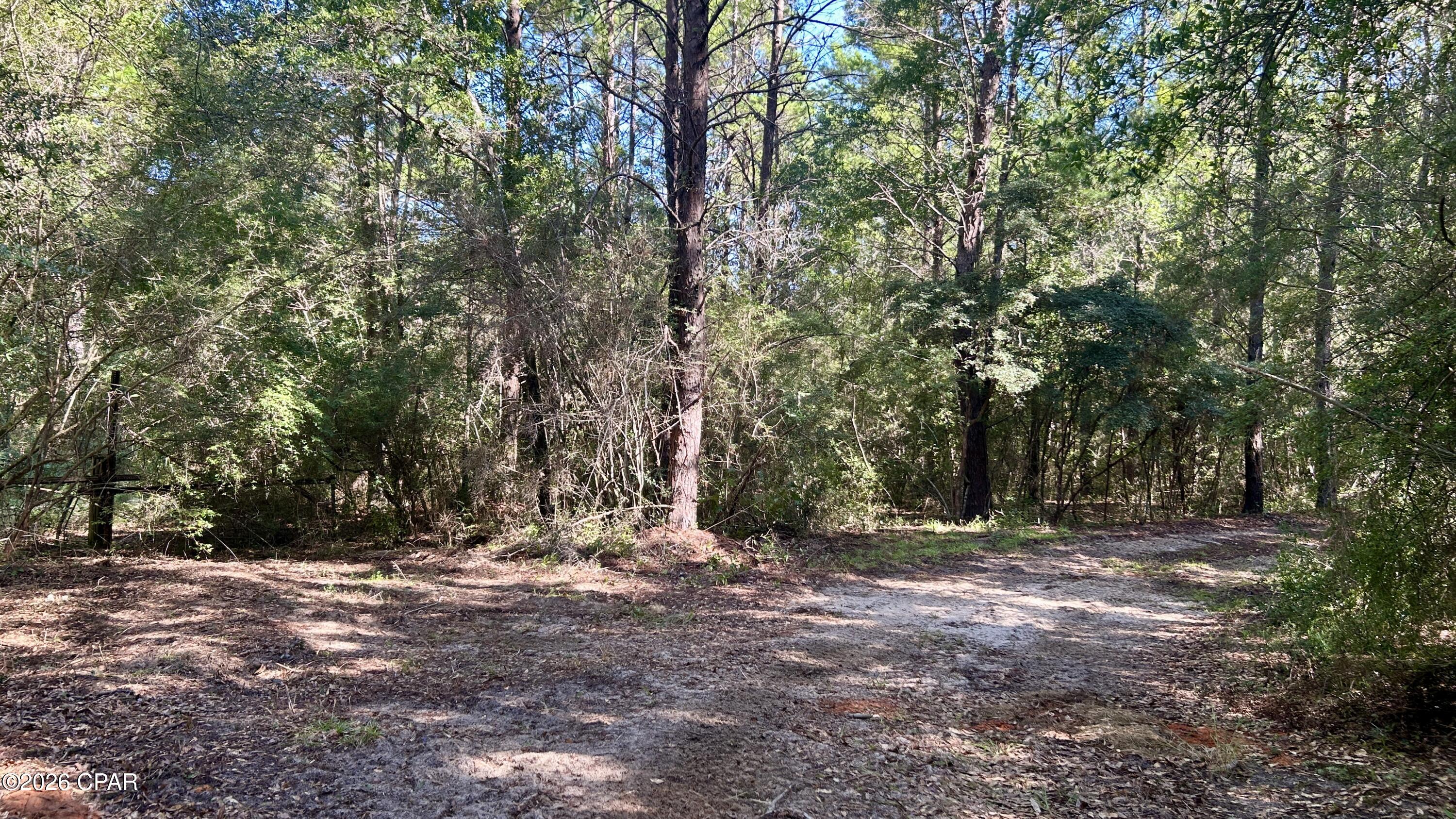 B Trawick Creek Road Holt FL 32564