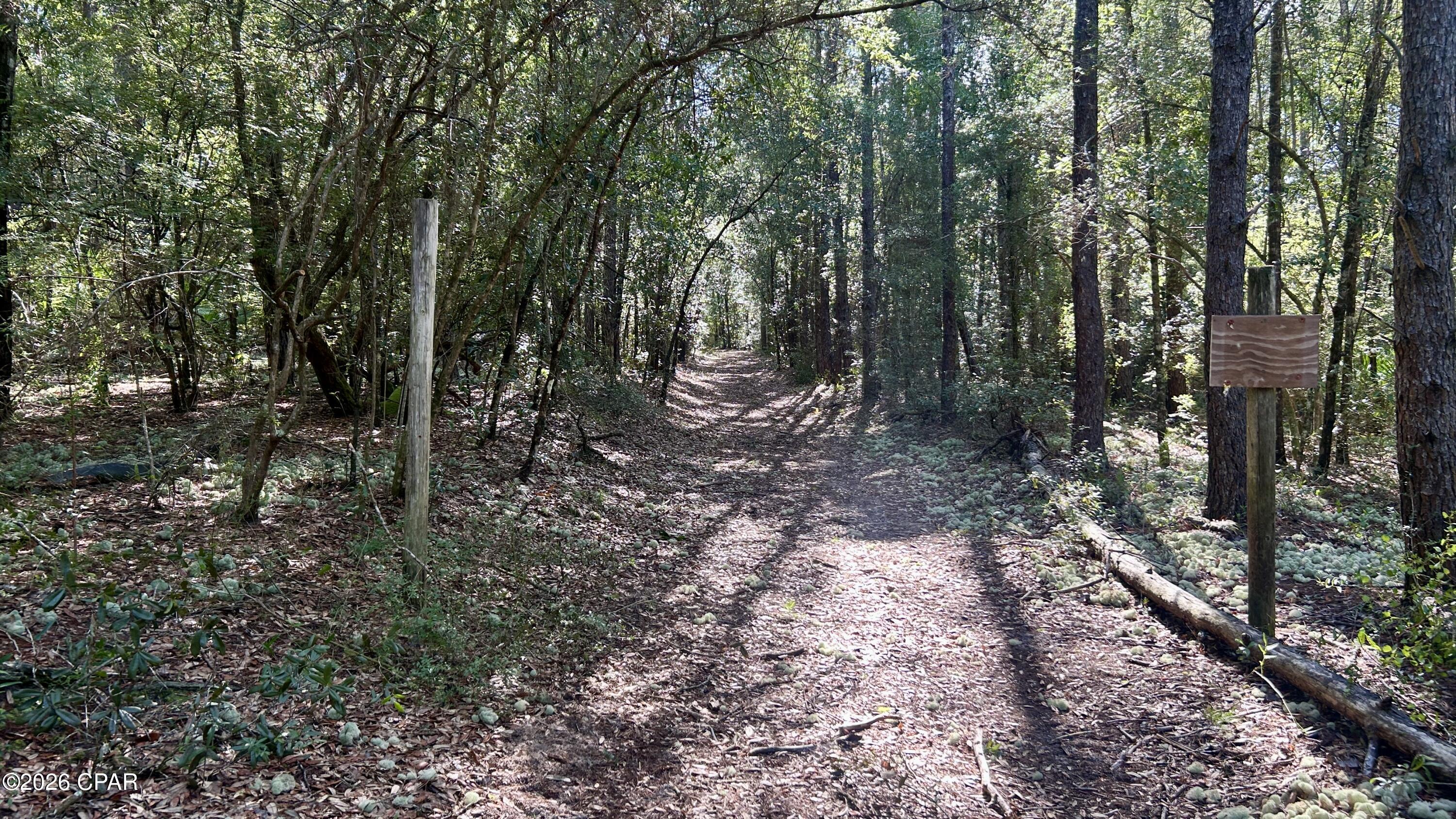 B Trawick Creek Road Holt FL 32564