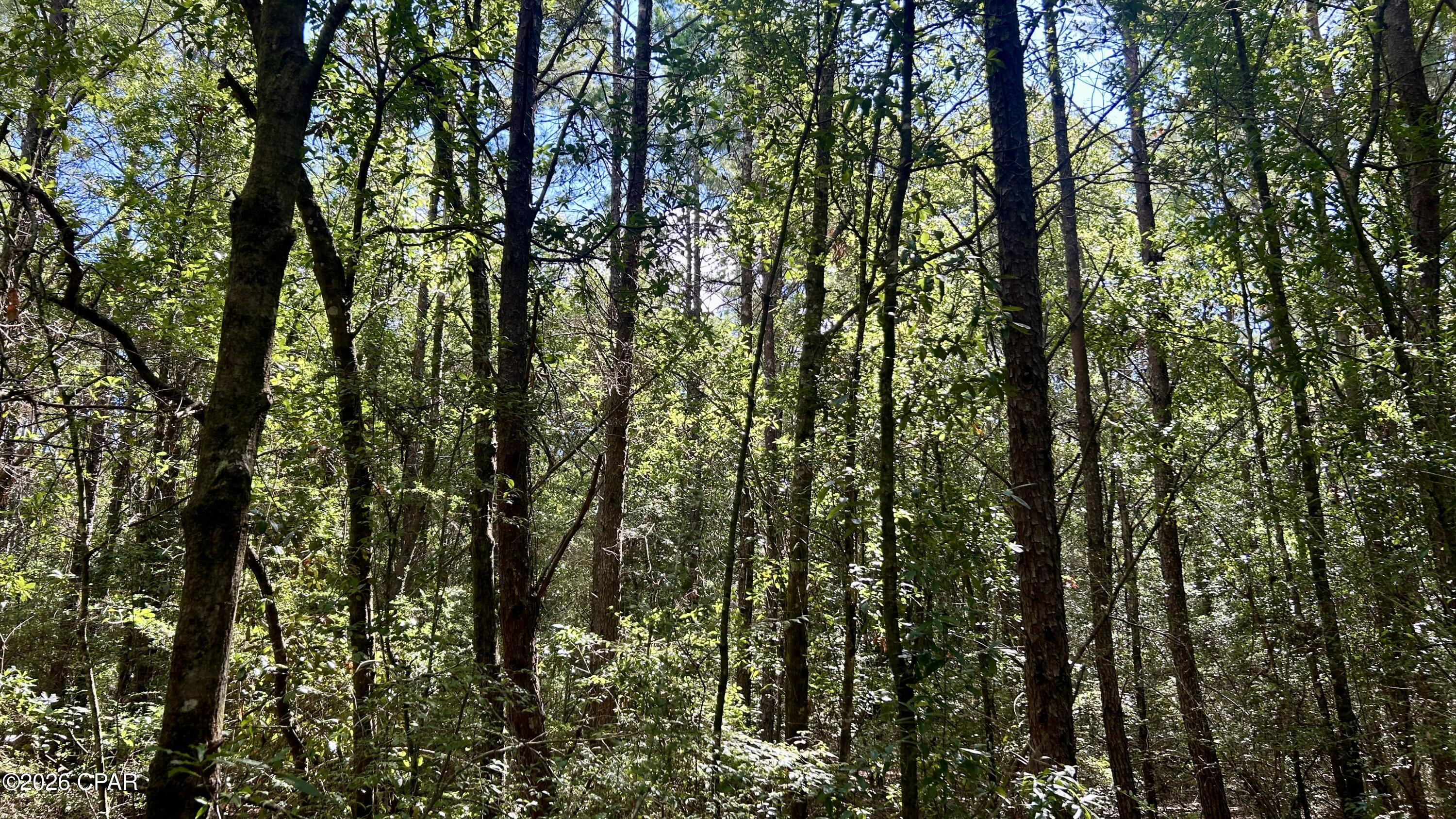 B Trawick Creek Road Holt FL 32564