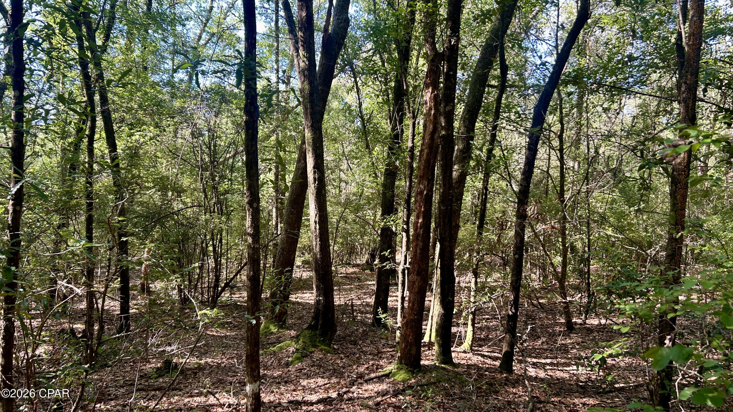 B Trawick Creek Road Holt FL 32564