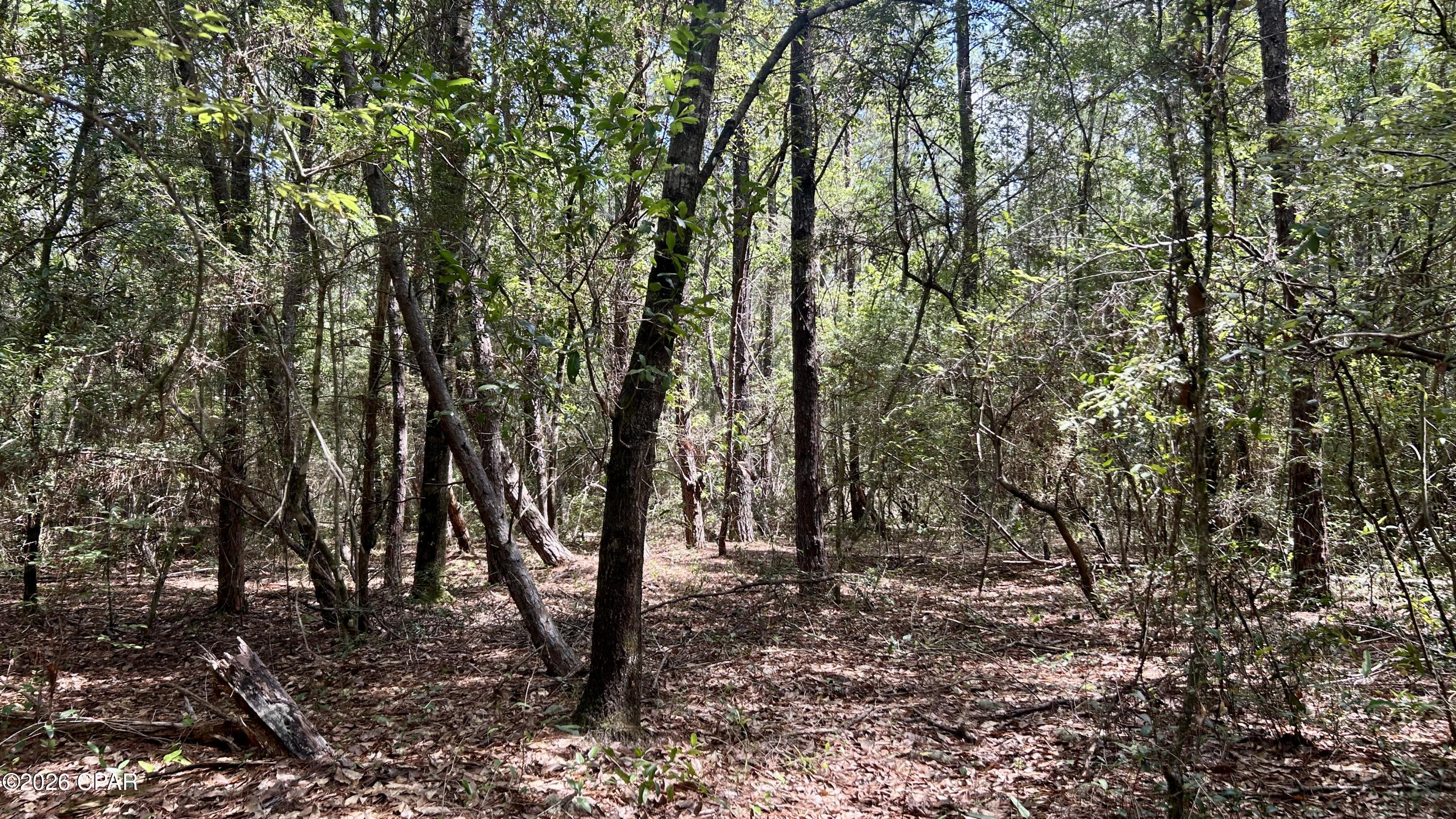 B Trawick Creek Road Holt FL 32564