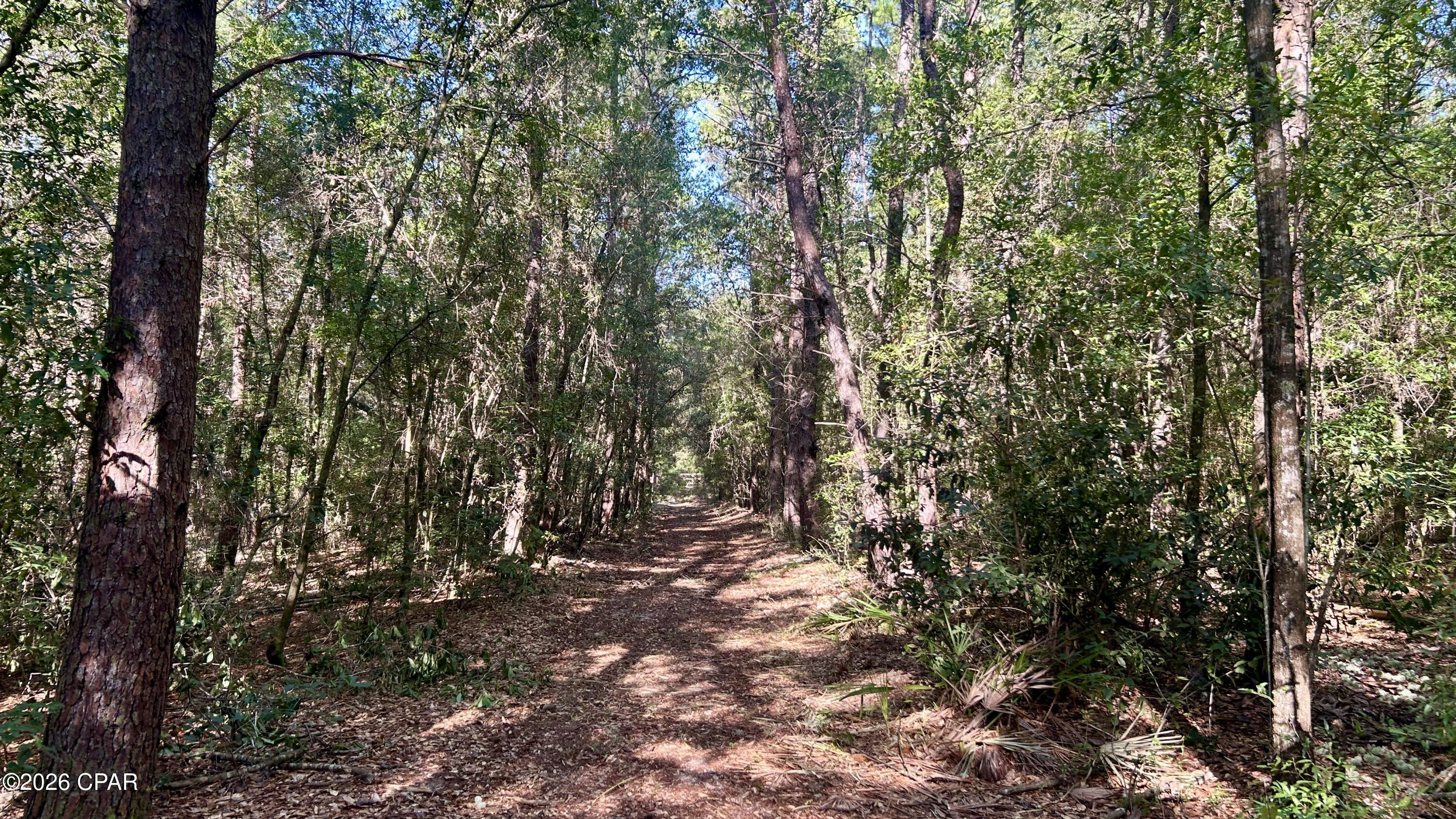 B Trawick Creek Road Holt FL 32564