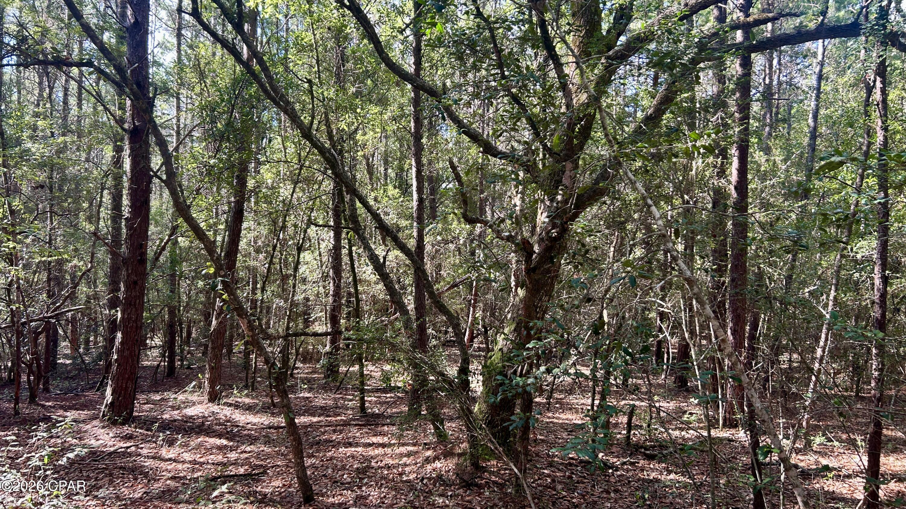 B Trawick Creek Road Holt FL 32564