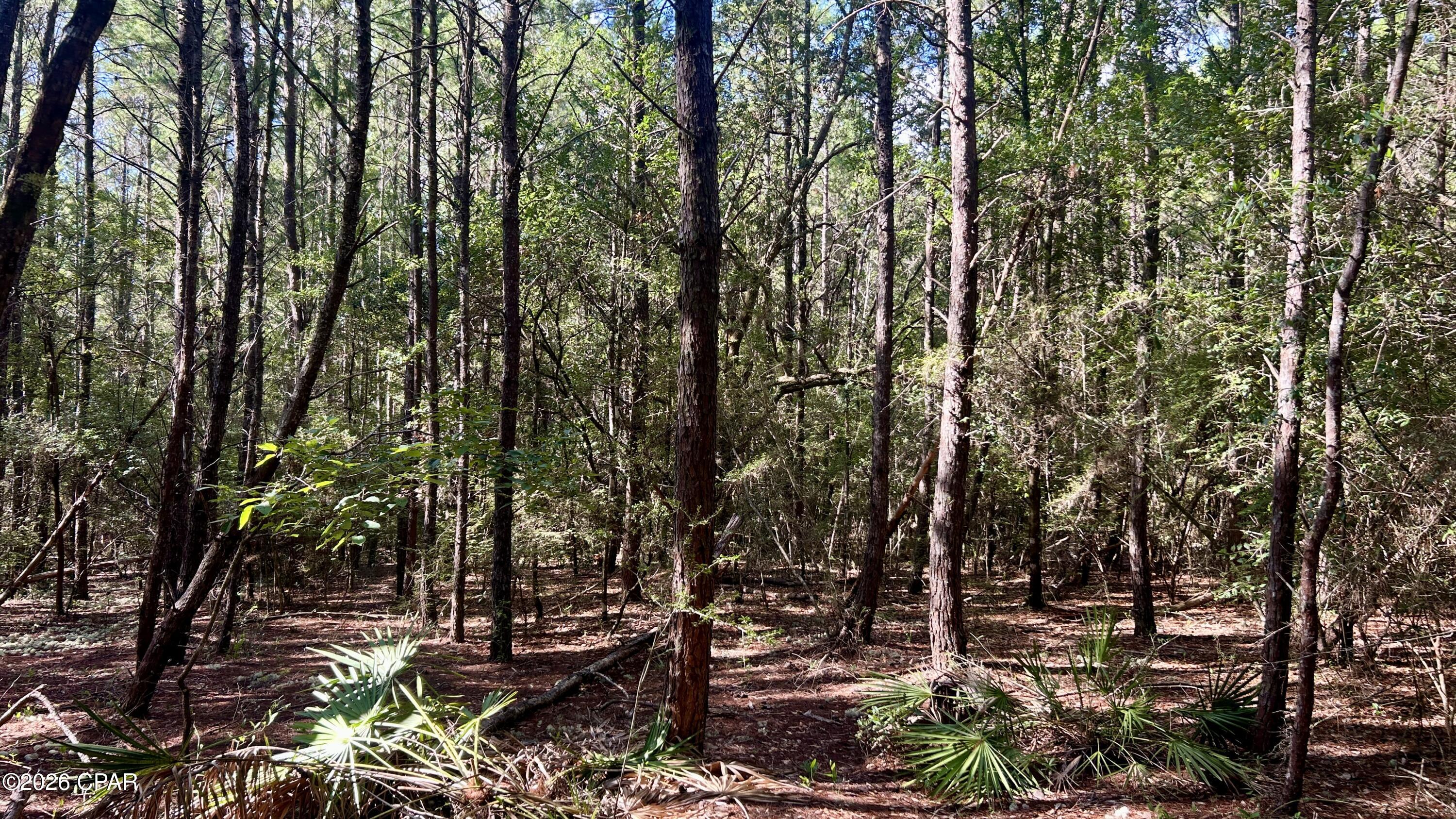 B Trawick Creek Road Holt FL 32564