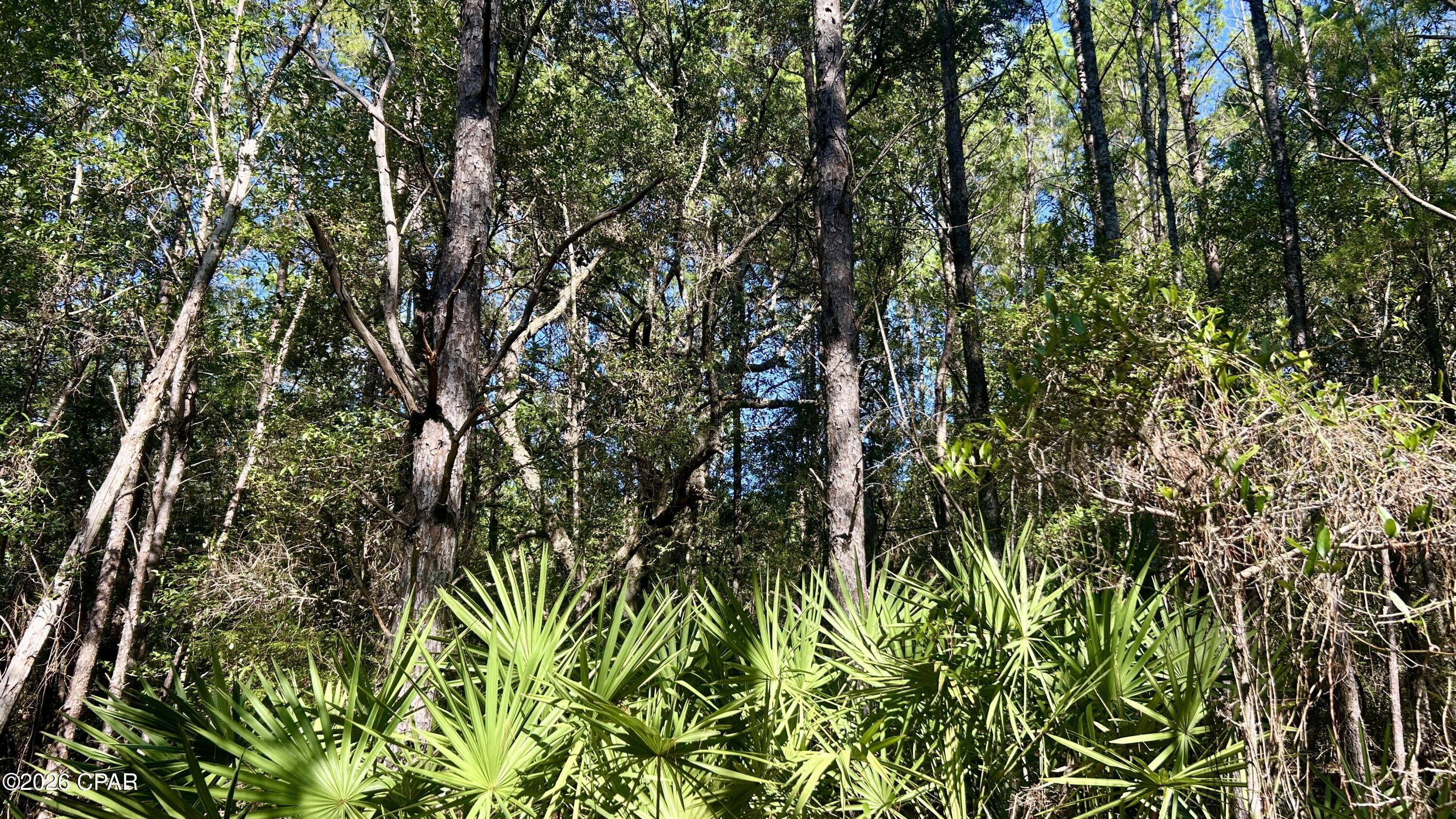 B Trawick Creek Road Holt FL 32564