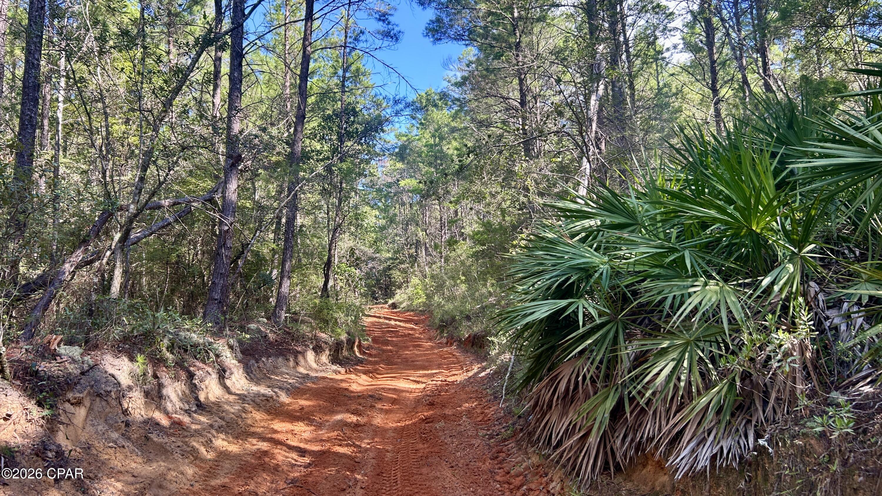 B Trawick Creek Road Holt FL 32564