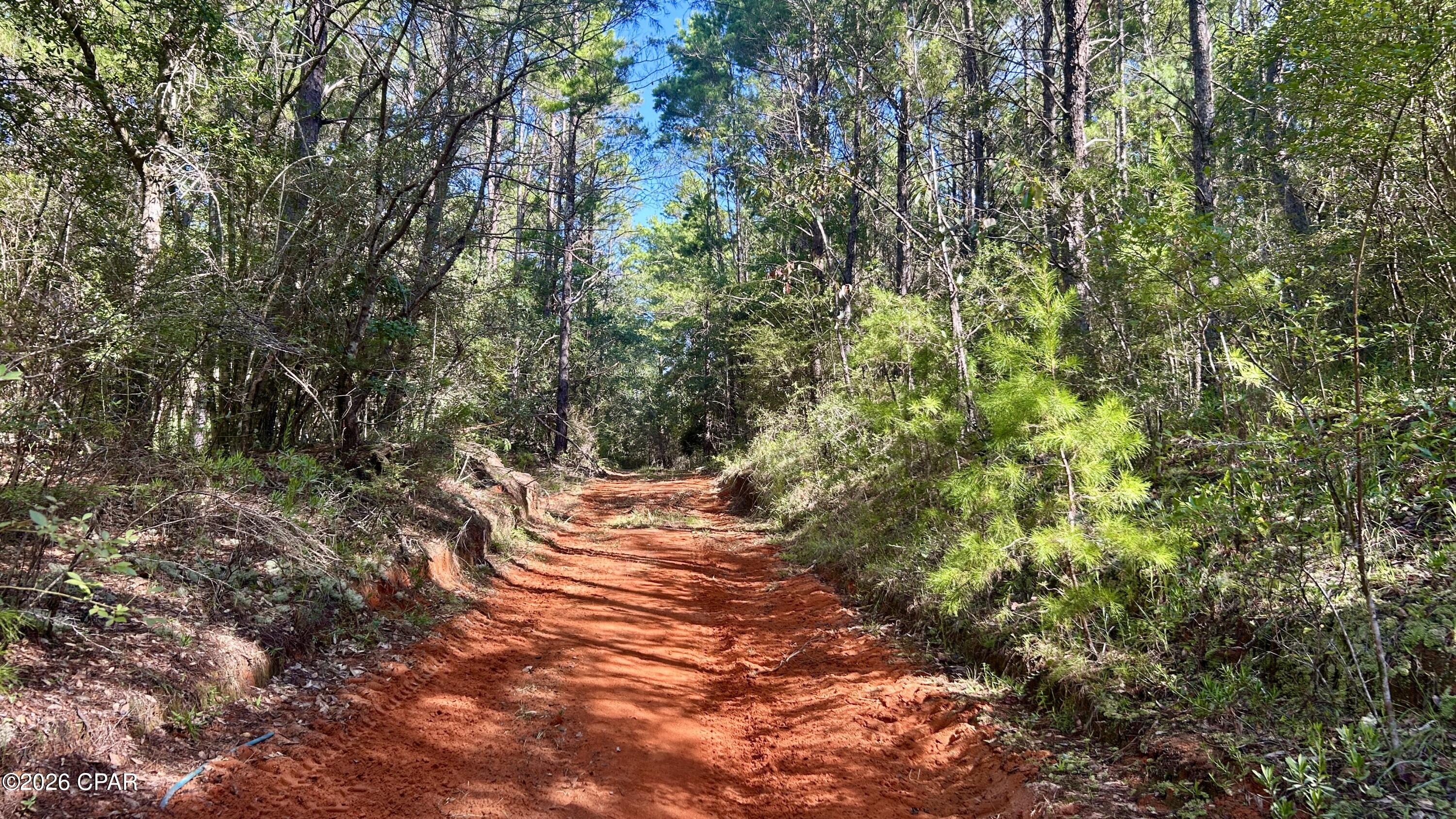B Trawick Creek Road Holt FL 32564