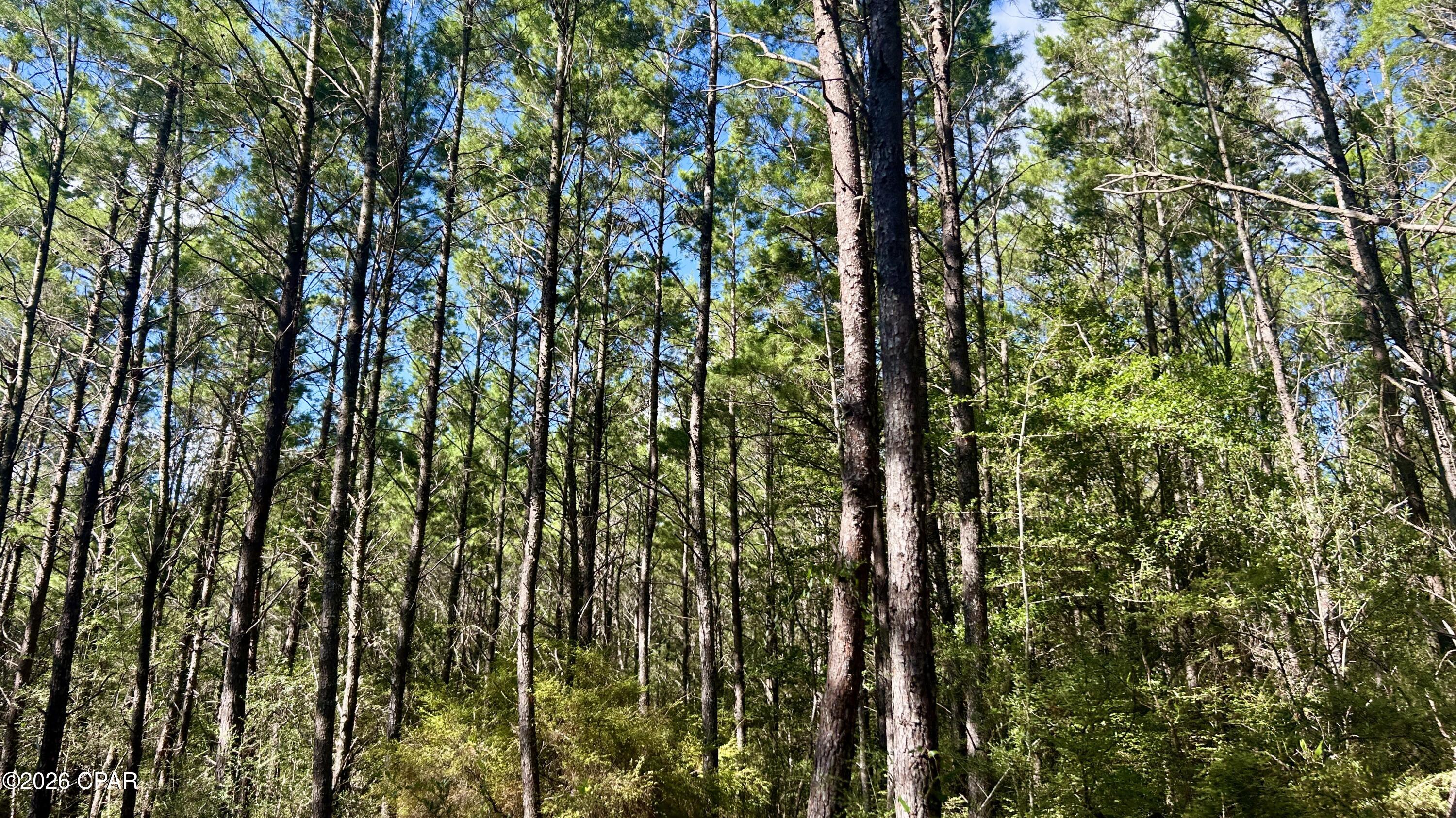 B Trawick Creek Road Holt FL 32564