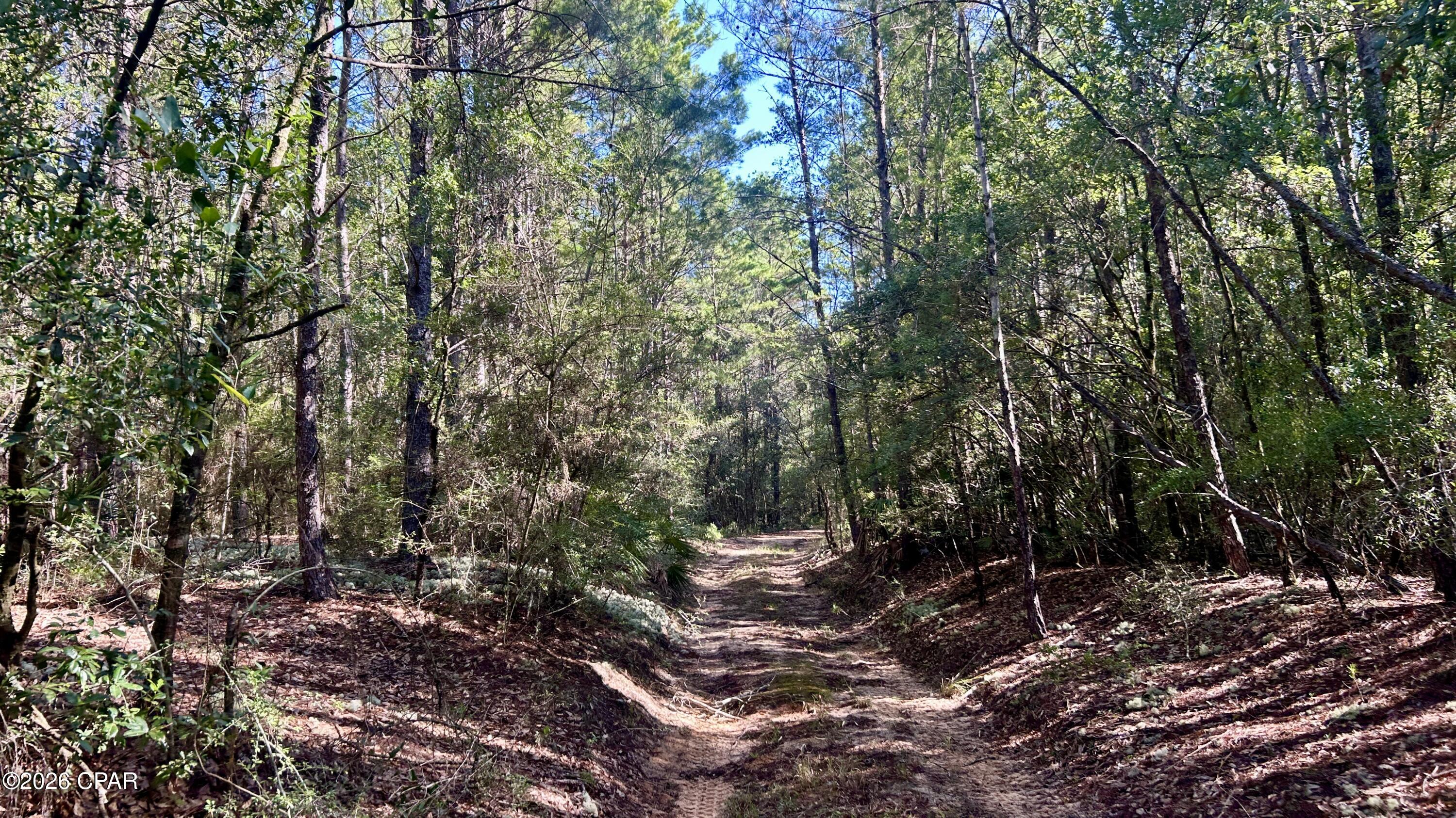 B Trawick Creek Road Holt FL 32564