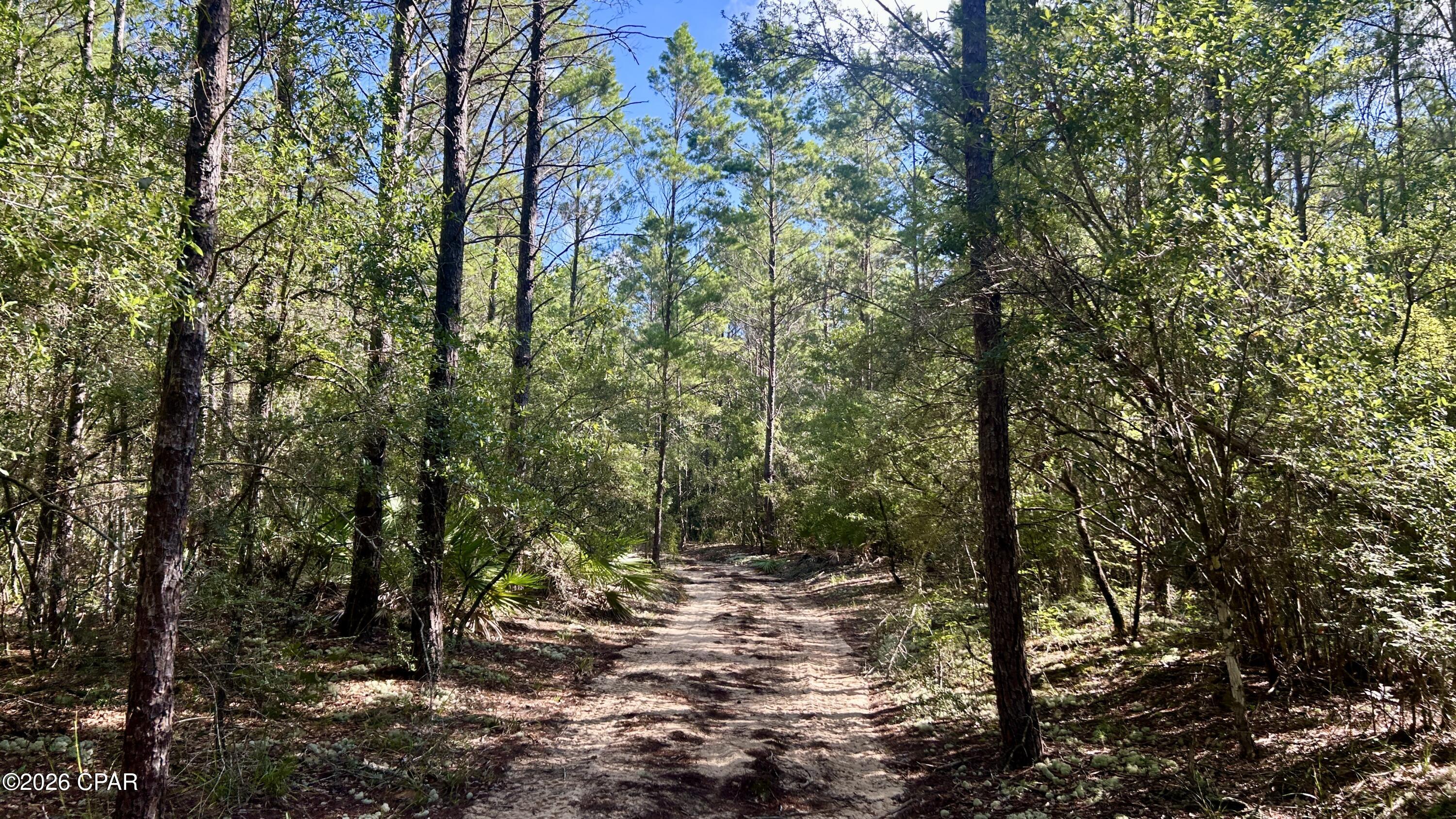 B Trawick Creek Road Holt FL 32564