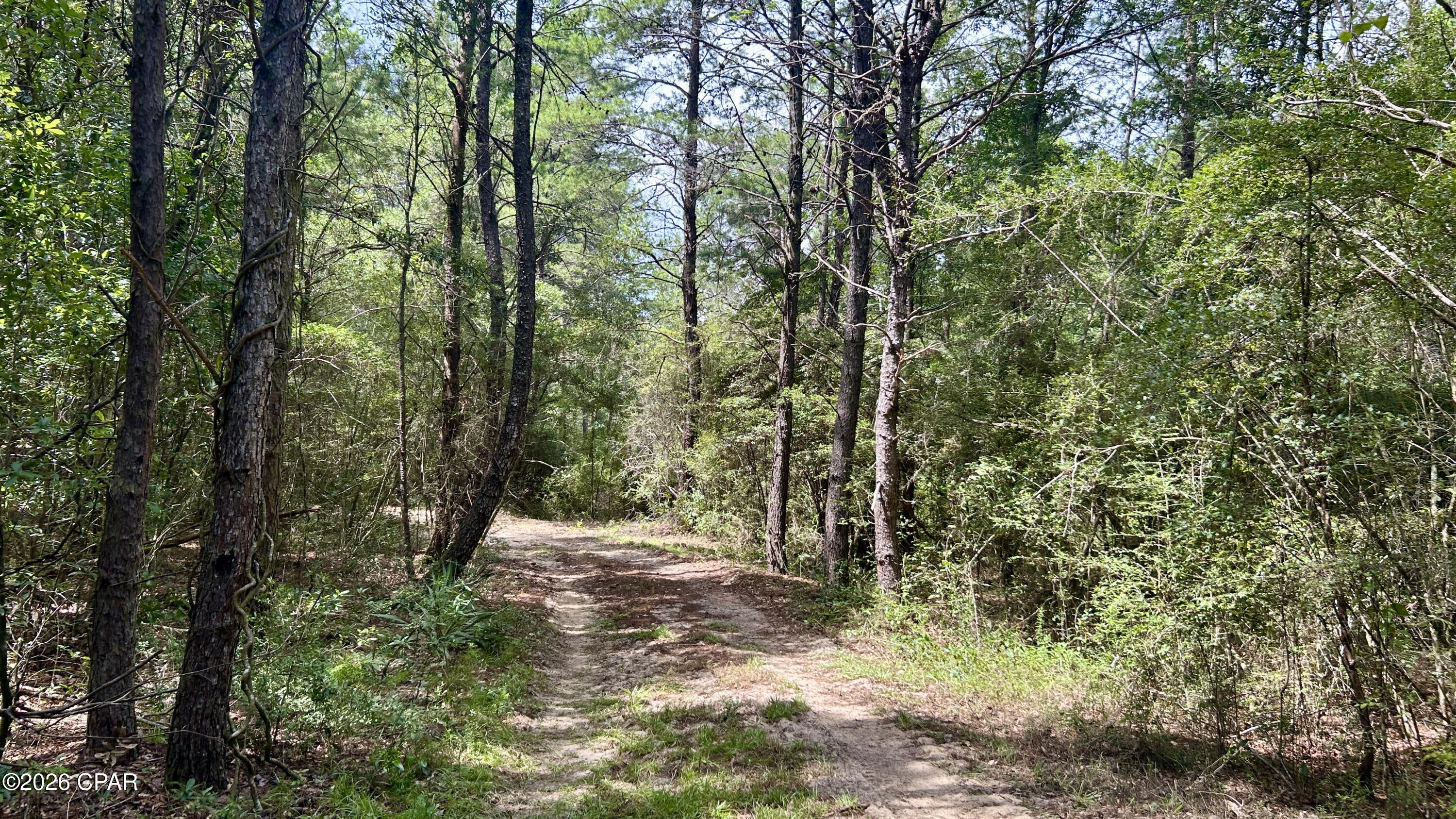 B Trawick Creek Road Holt FL 32564