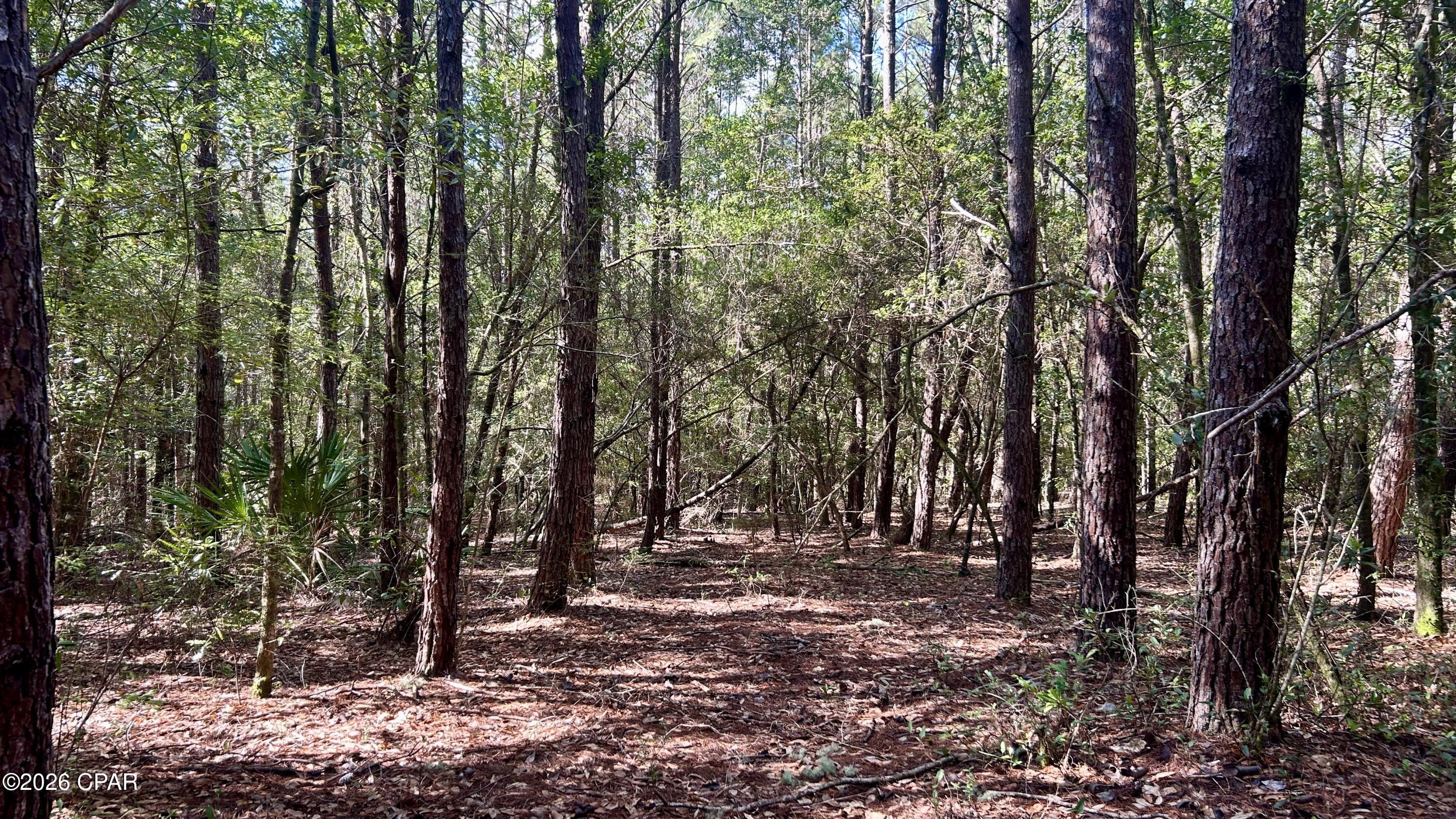 B Trawick Creek Road Holt FL 32564